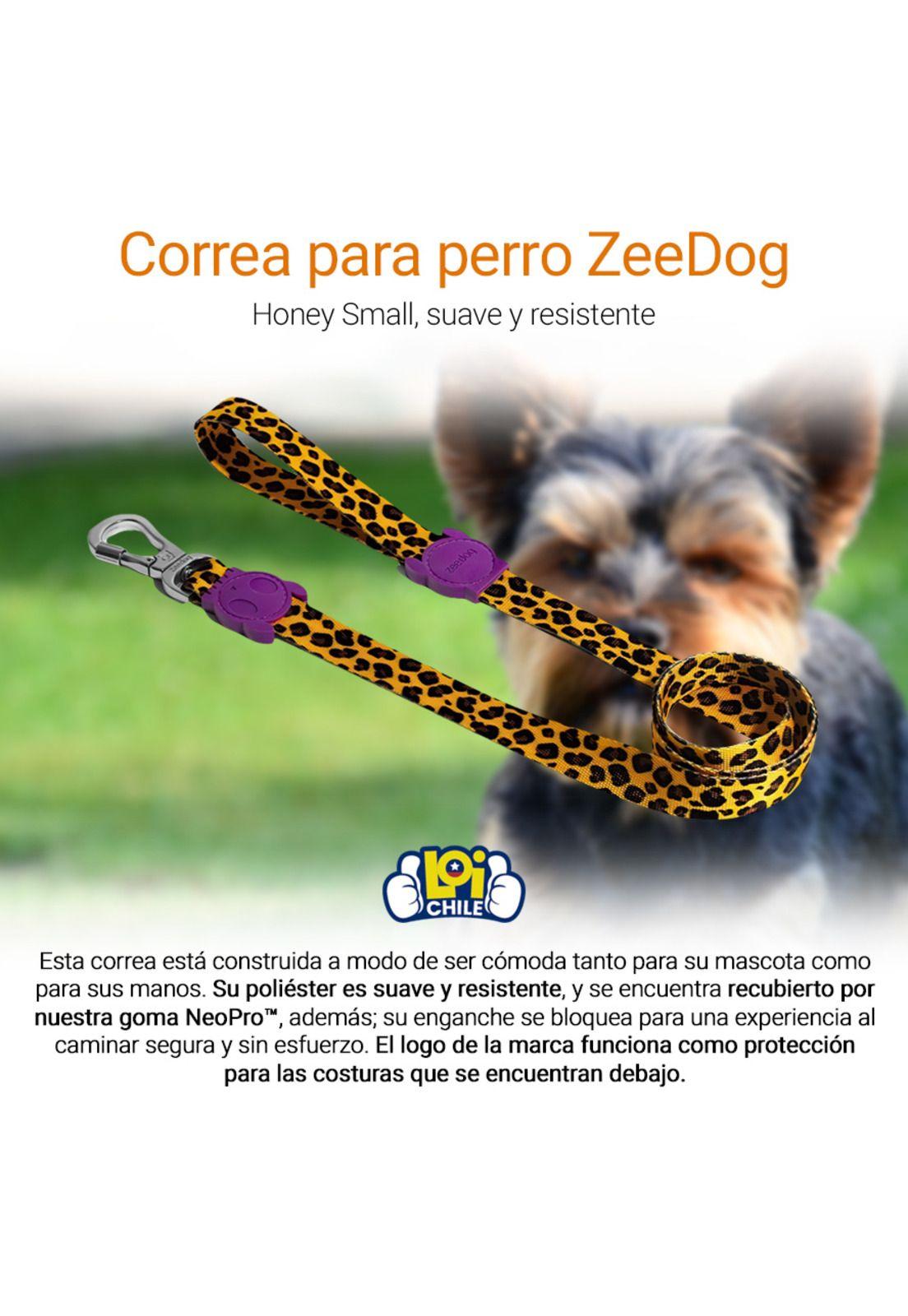 Correa Para Perro Zedoog Honey Small-1