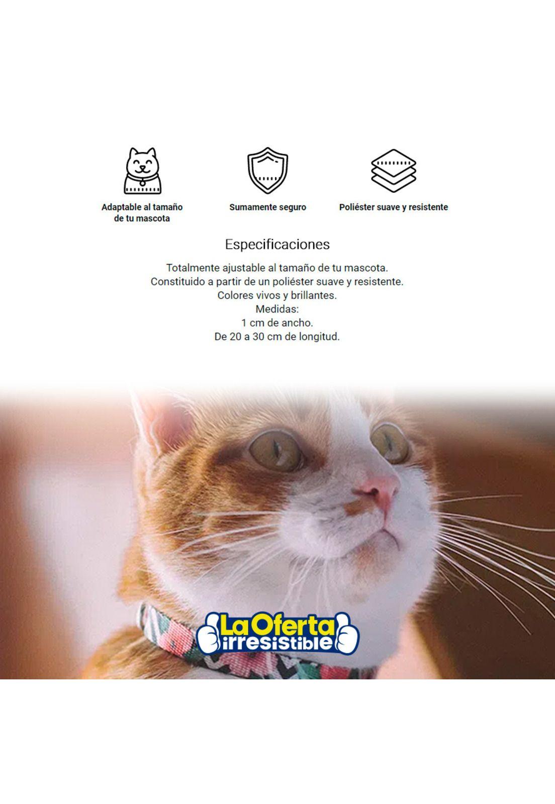 Collar Para Gato ZeeCat Mahalo-2