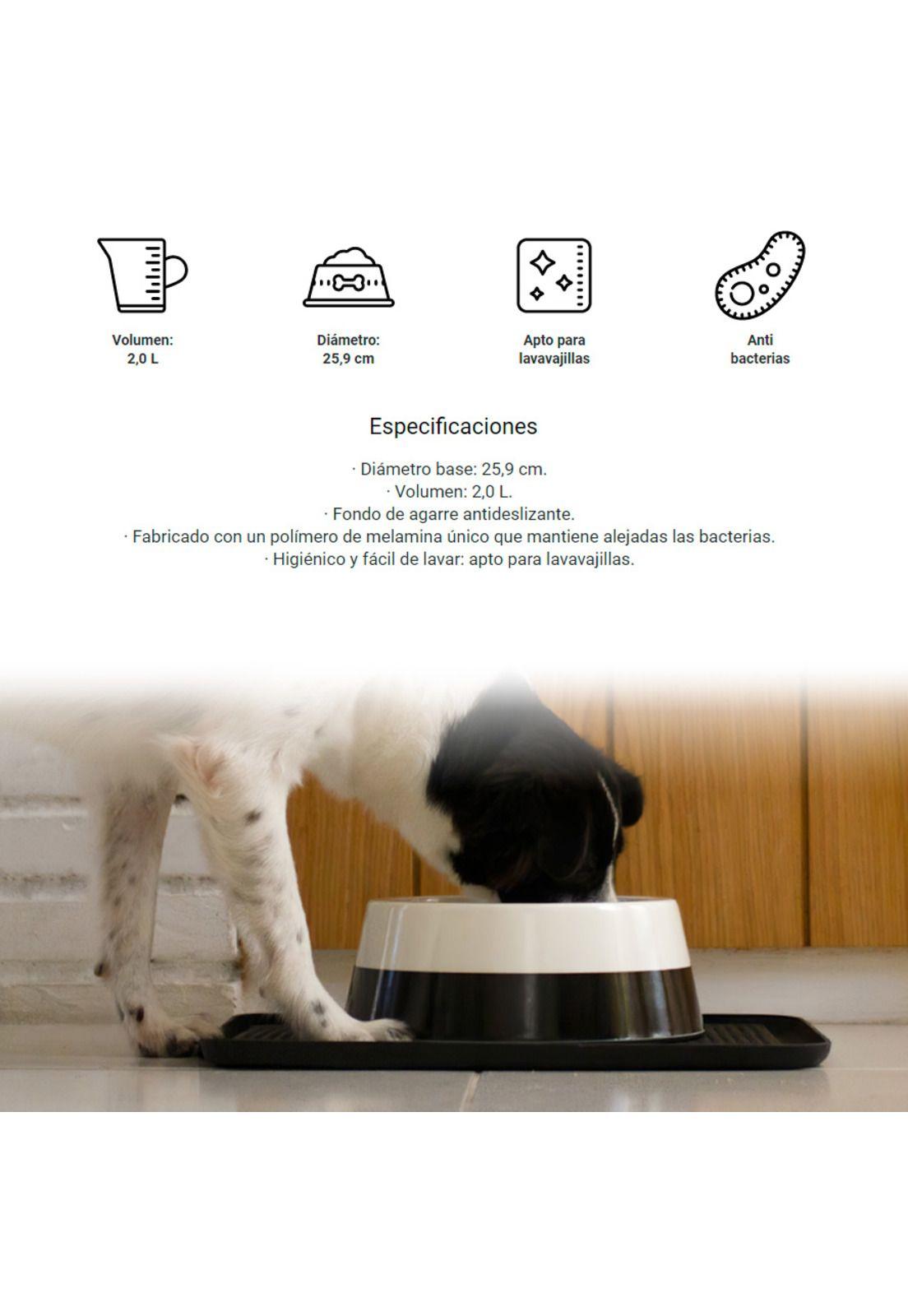 Plato para Perro ZeeBowl ZeeDog-2