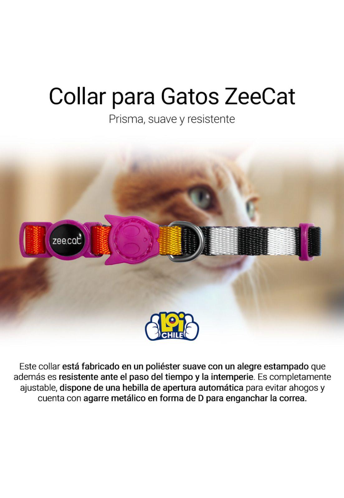 Collar Para Gato ZeeCat Prisma-1