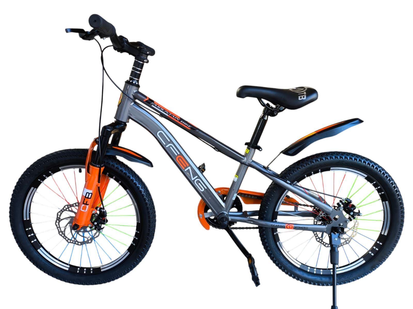 Bicicleta Aro 20  Cfeng Con Freno Disco Gris-3
