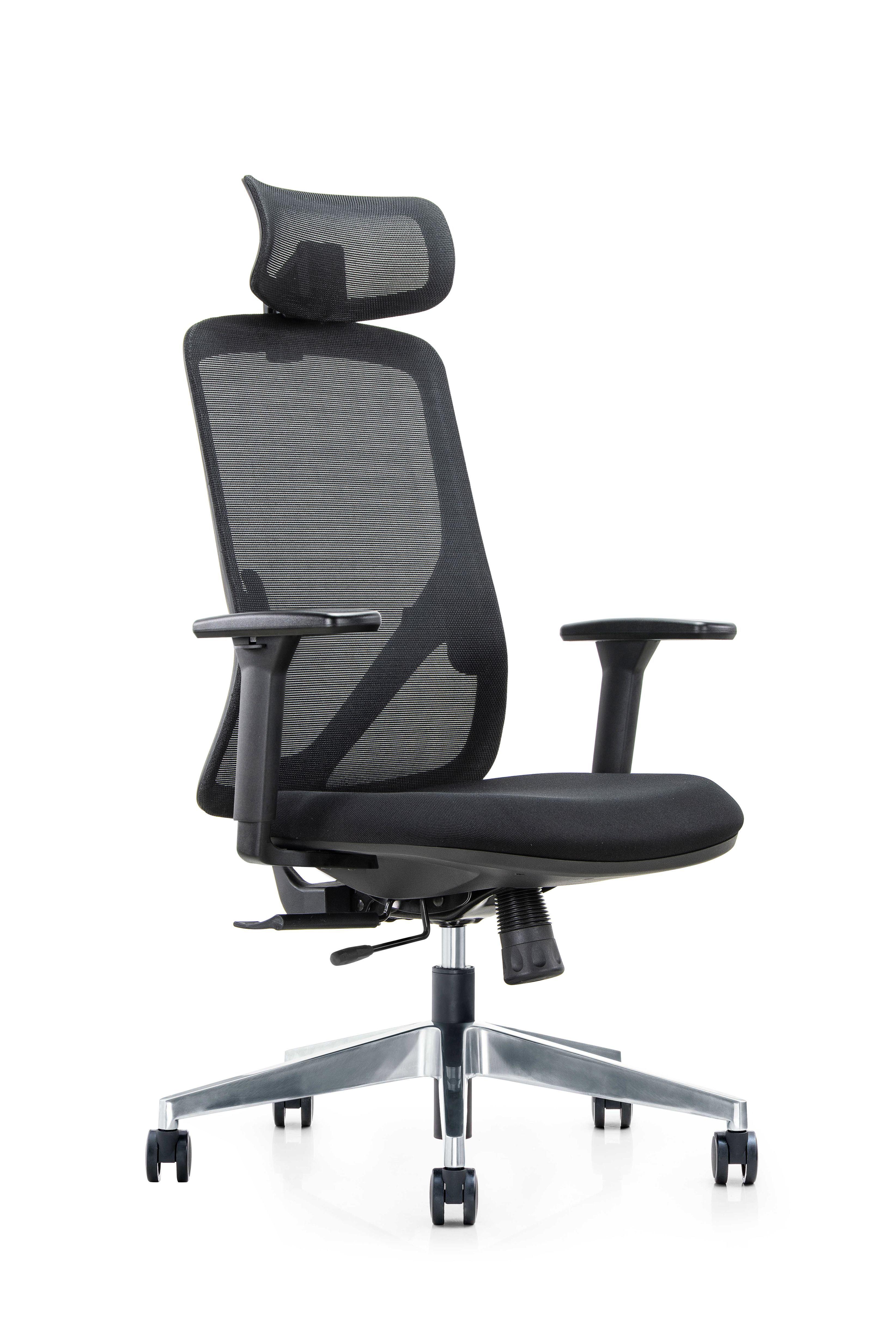 Silla Gerencial de oficina Placidita Plus-1