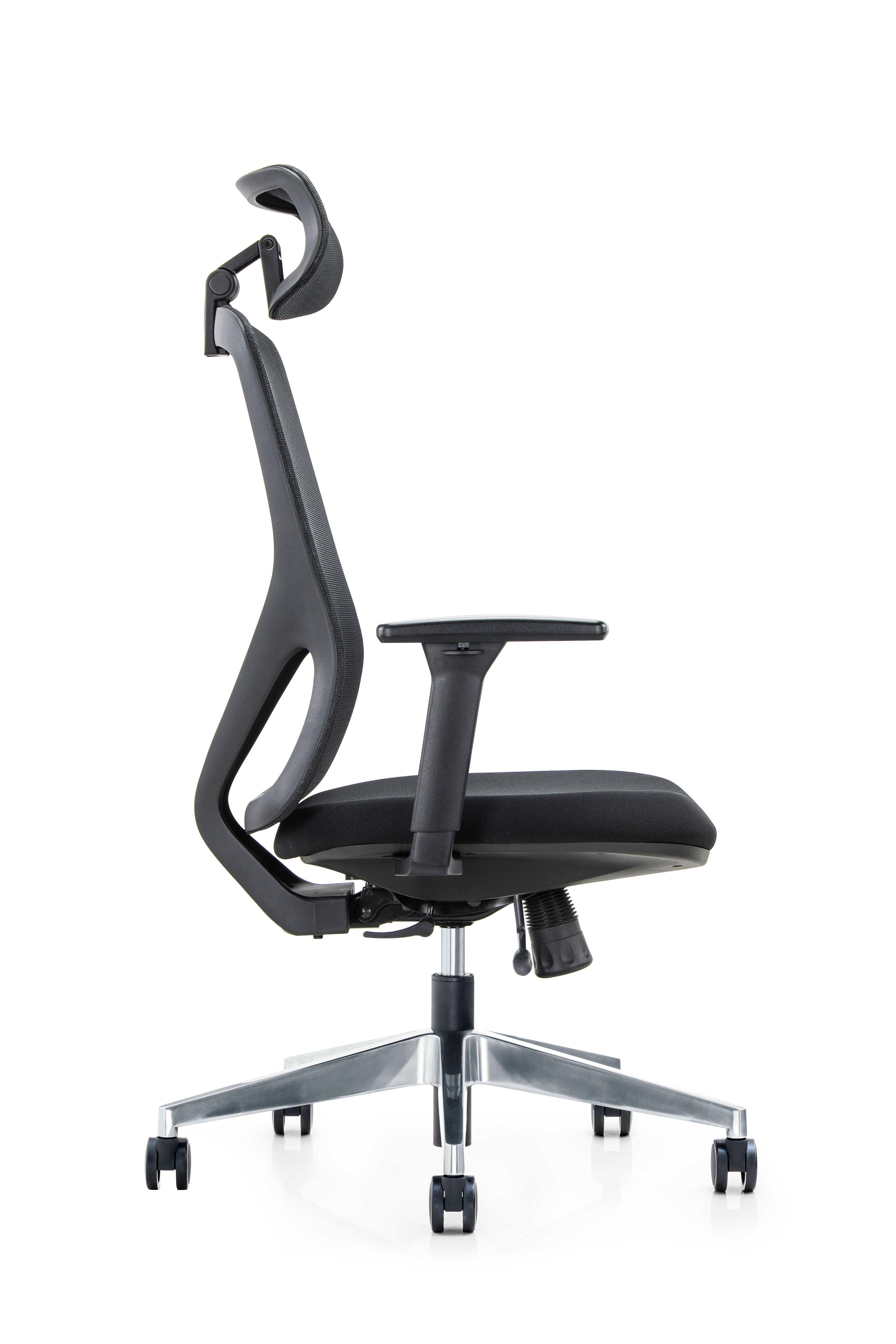 Silla Gerencial de oficina Placidita Plus-2