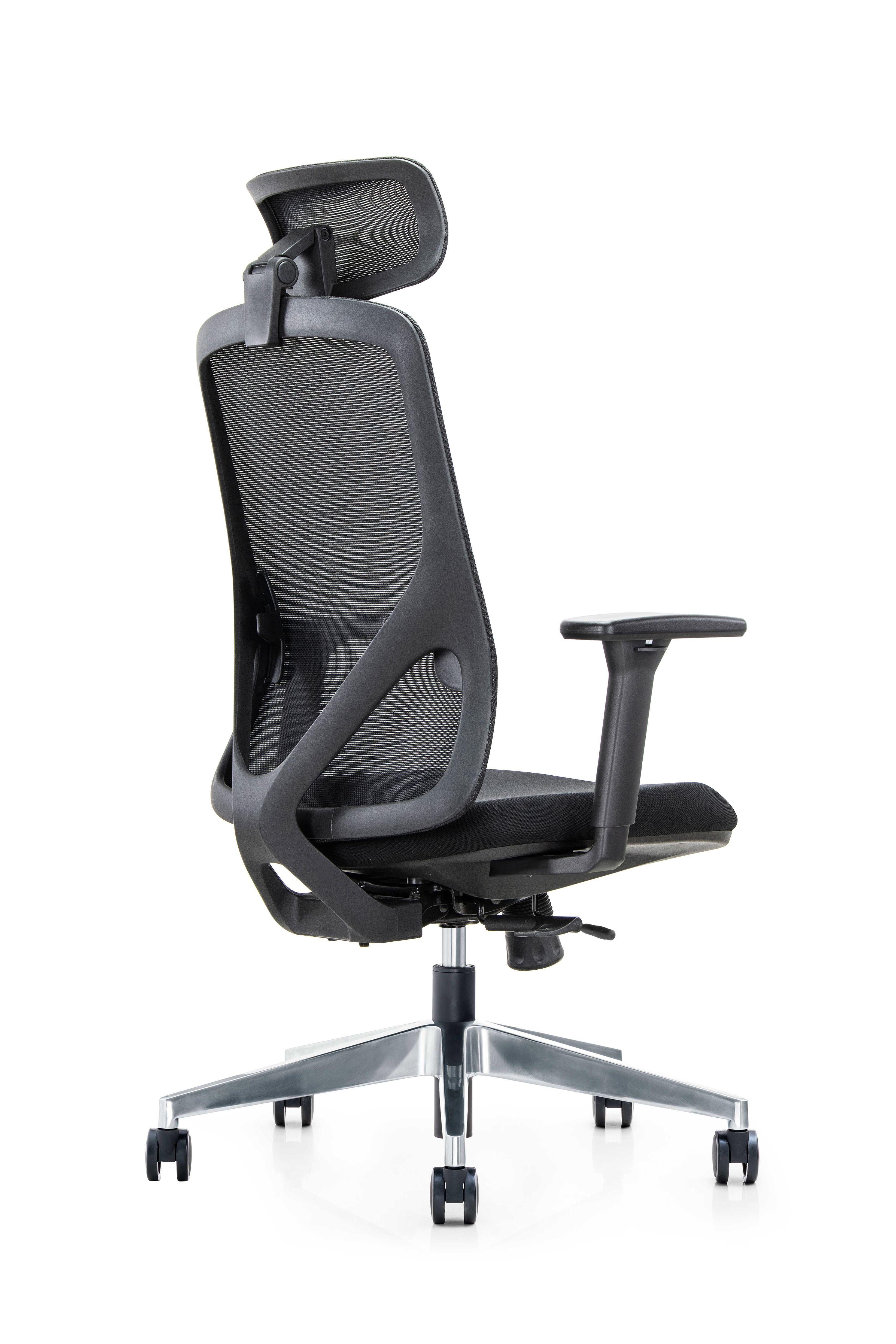 Silla Gerencial de oficina Placidita Plus-3
