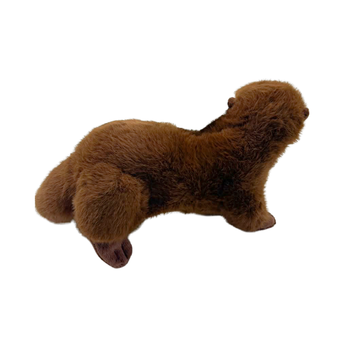 Peluche Nutria 18 cm Buinzoo-2