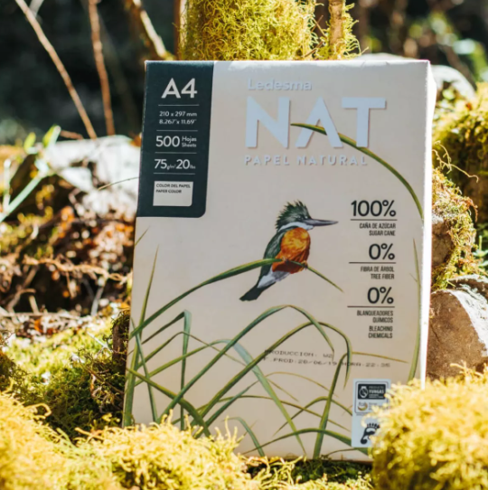 Caja De 5 Resmas A4 Ledesma Ecológica De Caña De Azúcar-2