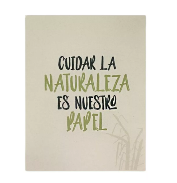 Caja 5 Resmas Carta Ecológica 500 Hojas C/u Decaña De Azúcar-3