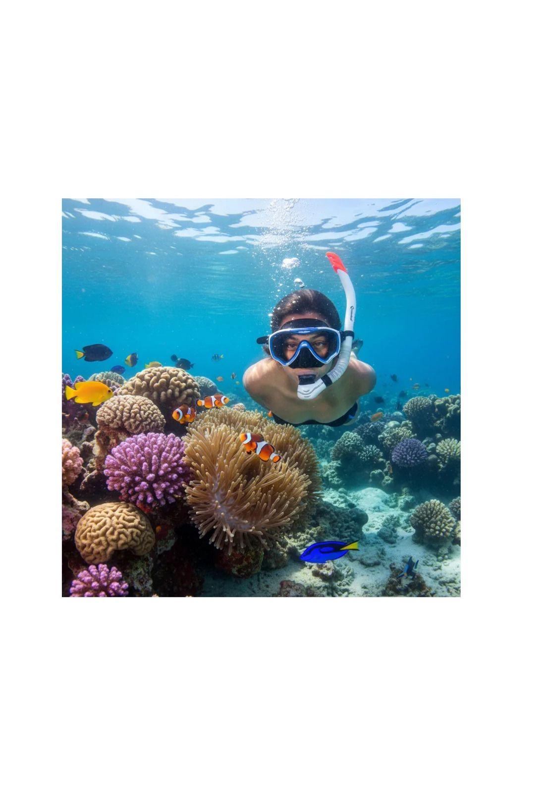 Set Combo Full Snorkel + Mascara Shark Cabosub-3