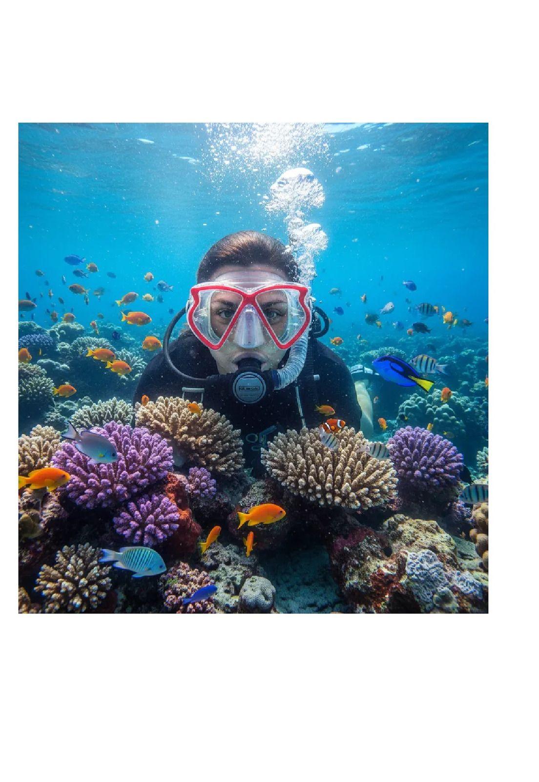 Mascara De Buceo Butterfly Cabosub-2