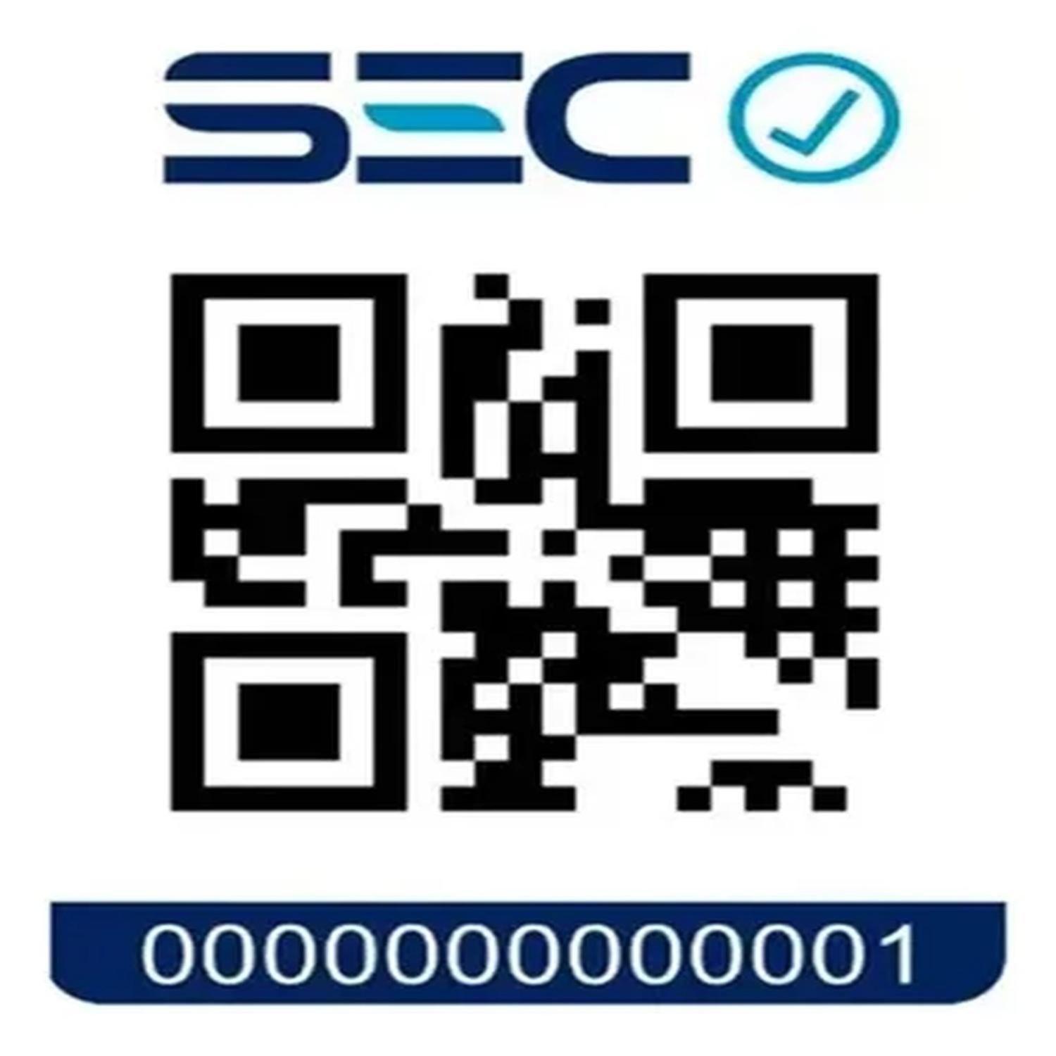 Cafetera Turca Eléctrica Semi Automática Doble-8