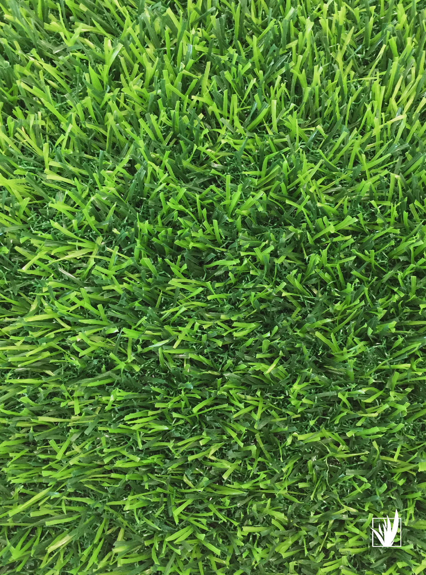 Pasto Sintético 20 milímetros espesor 50 mt2-4