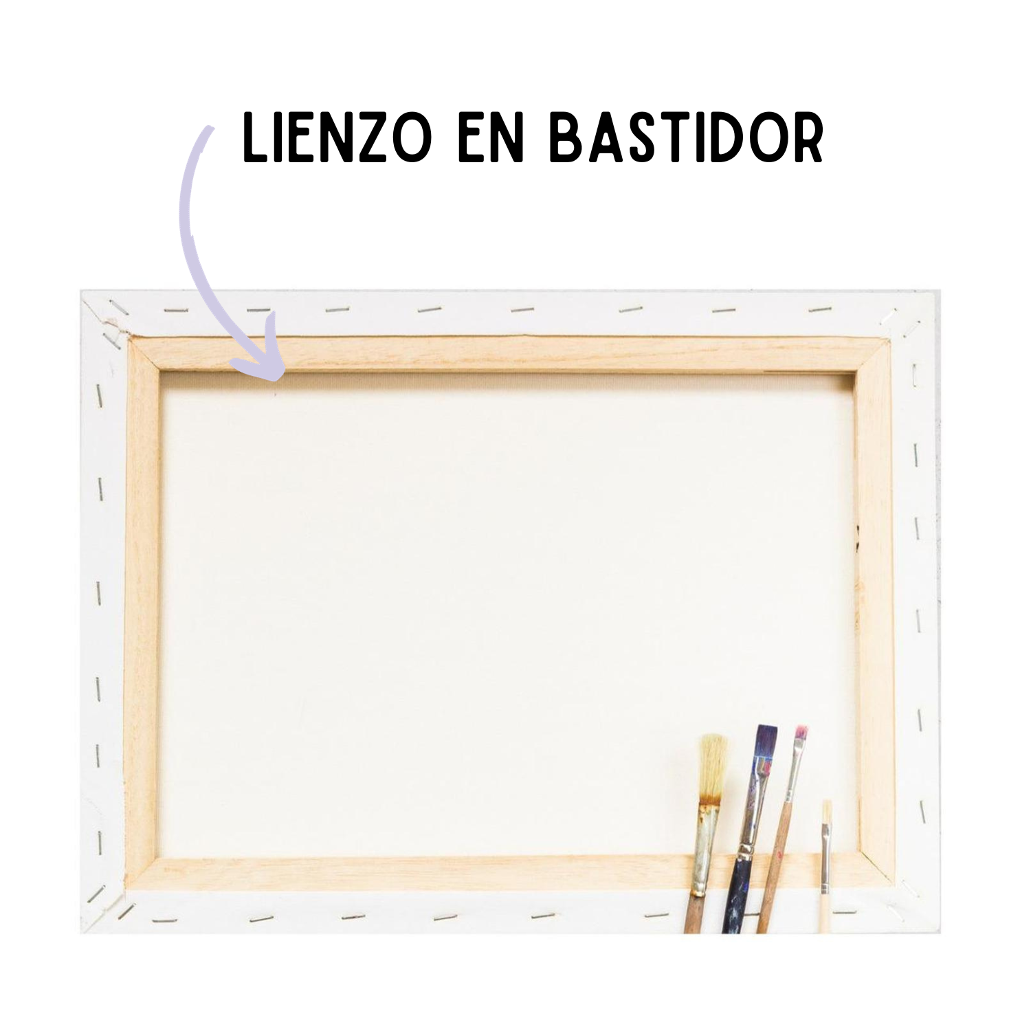 Pintura Por Números -Colibri Marco Incluido - Paint By Numbers-1