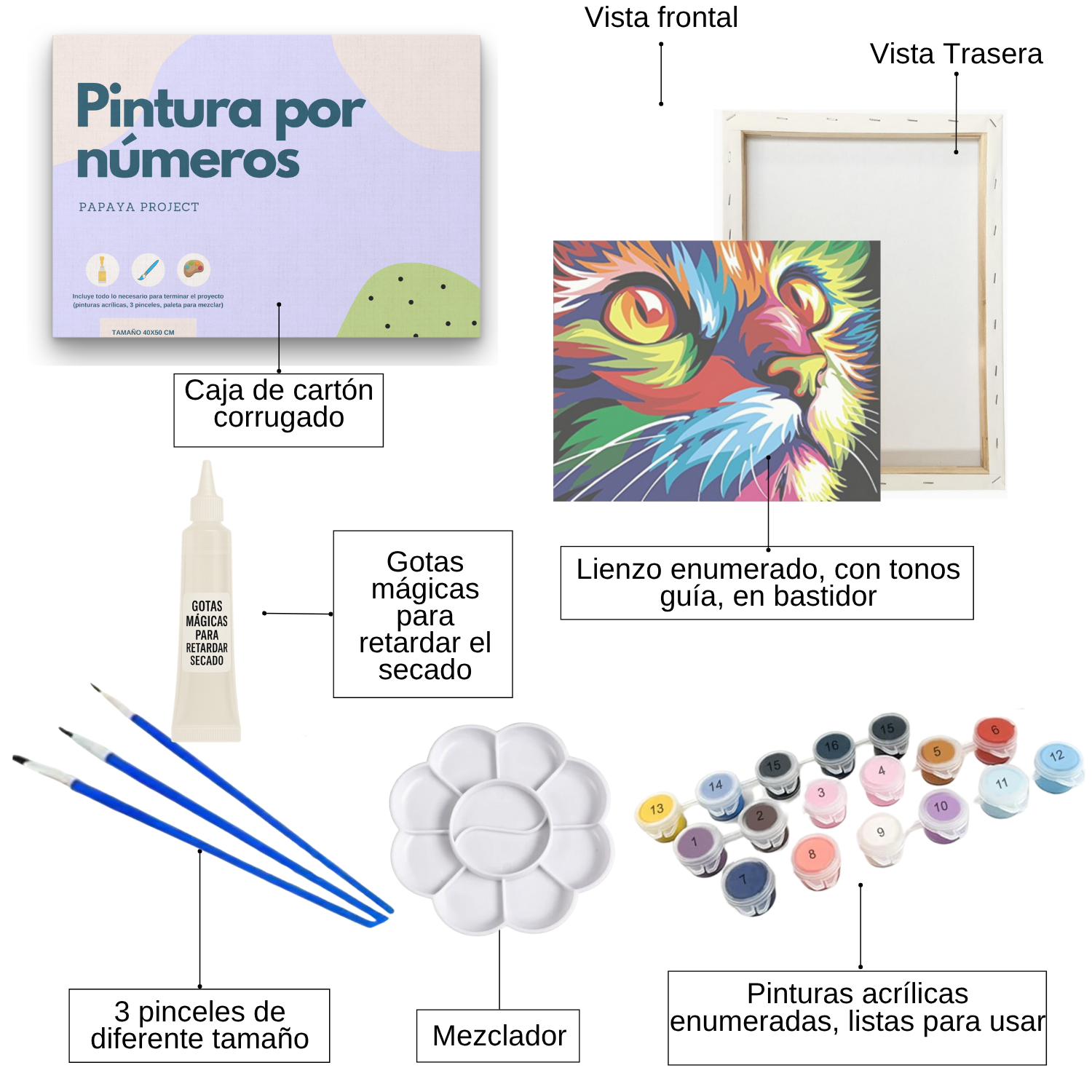 Pintura con números en bastidor 25x35 Gato Pop Art - Painting by numbers-1