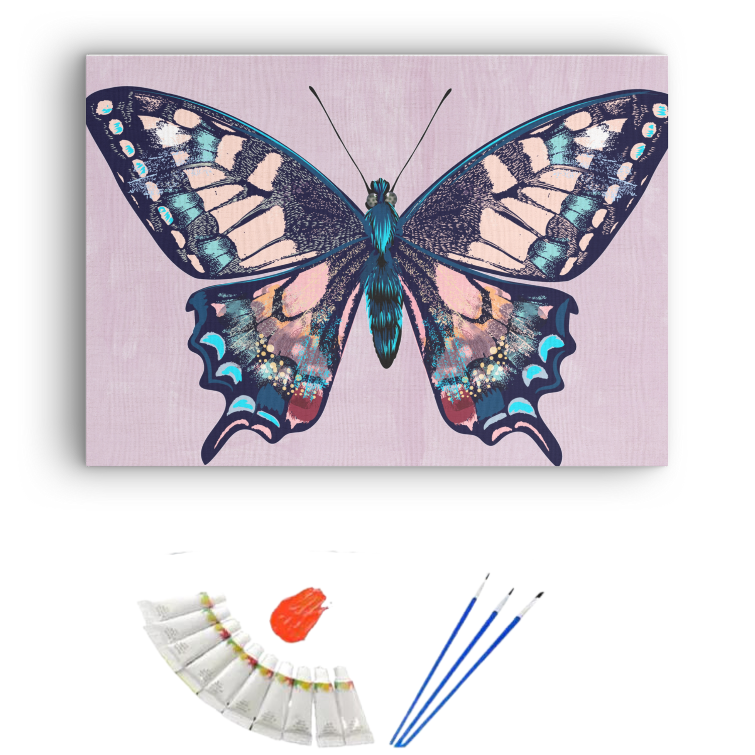Pintura por números 25x35cm en bastidor Mariposa - Painting by number-1