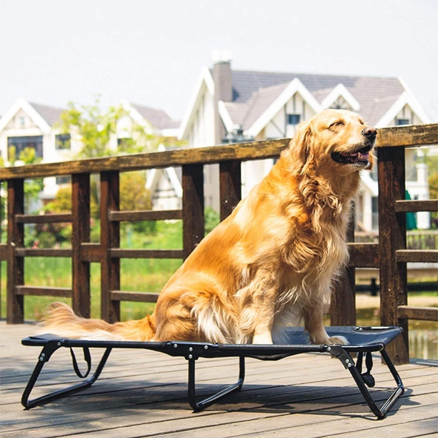Cama Elevada Para Perros, Cama Impermeable, Cama Resistente-6