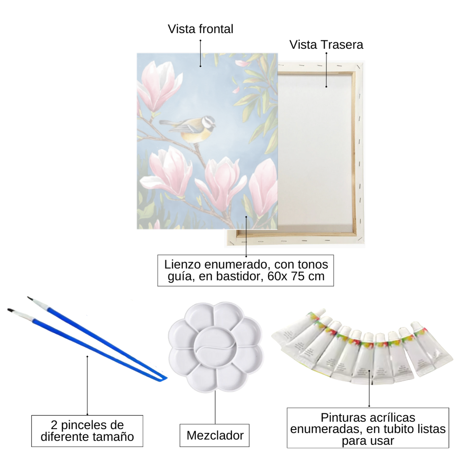 Pintura Con Números En Bastidor 60X75 Pájaro En Rama - Painting By Numbers-1