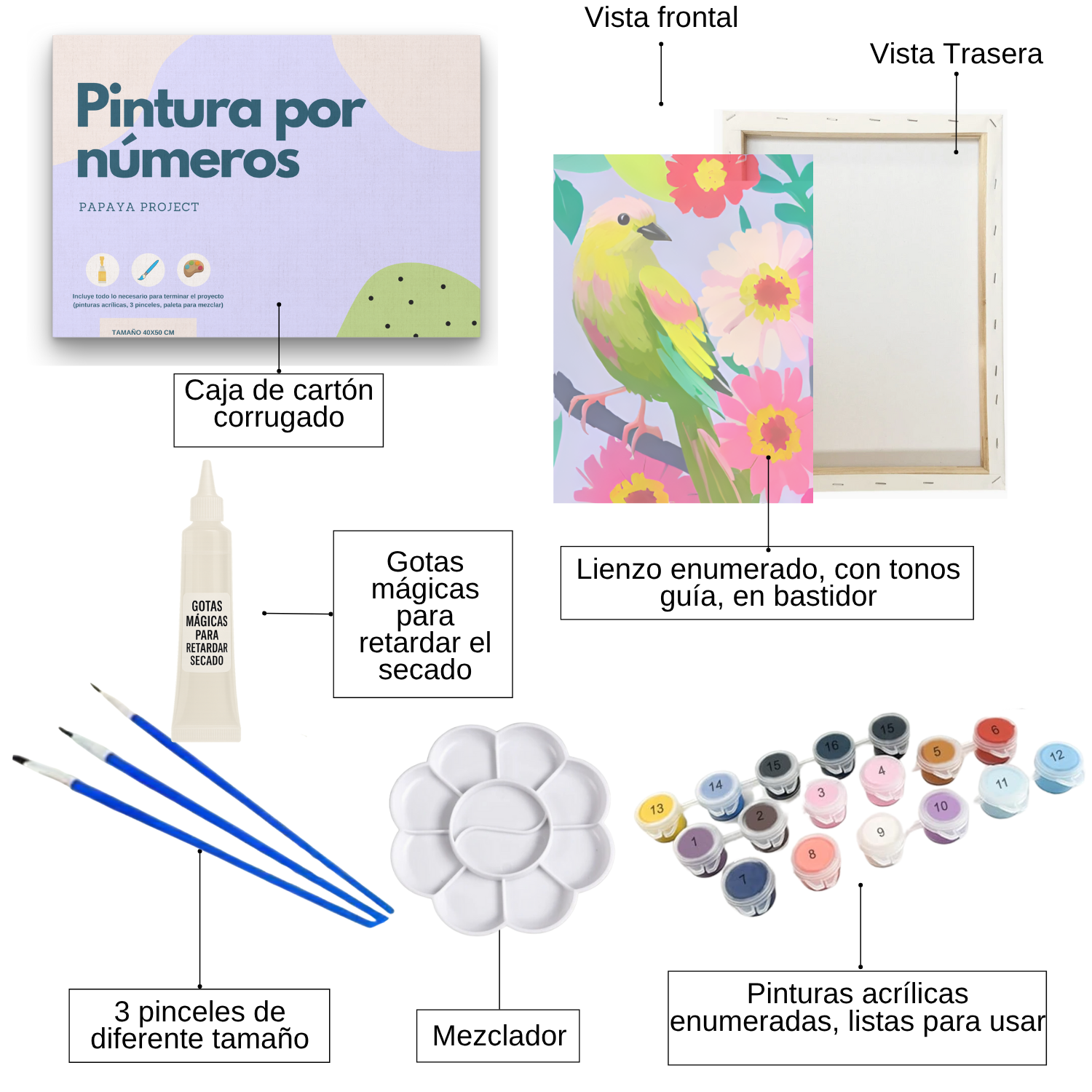 Pintura con números en bastidor 25x35 - Pajaro Pastel - Painting by numbers-1