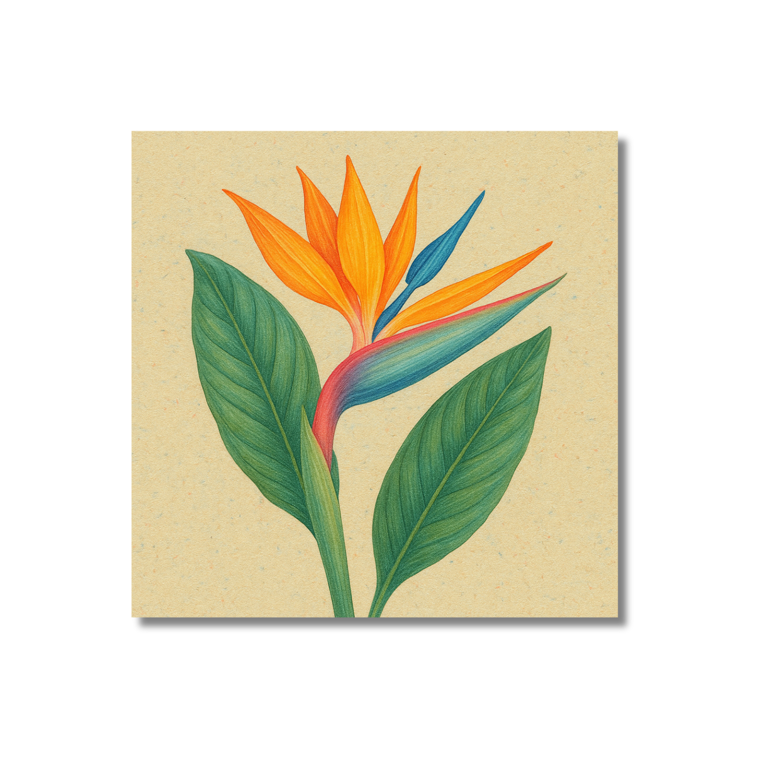 Set Pintura Por Números X3 - Botánica 20x20-2