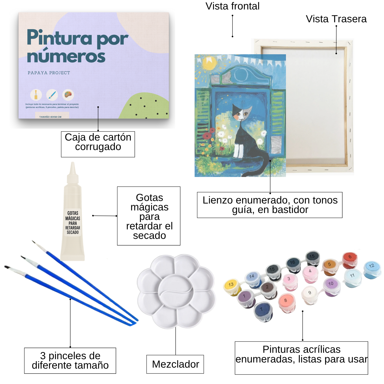 Pintura con números en bastidor 25x35 Gato Arte - Painting by numbers-1