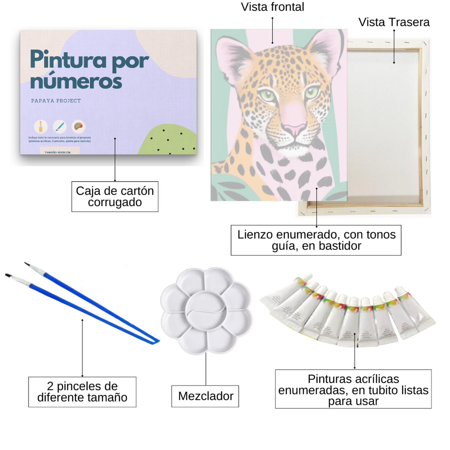 Pintura con números en bastidor 25x35 - Leopardo Pinky - Painting by numbers-1