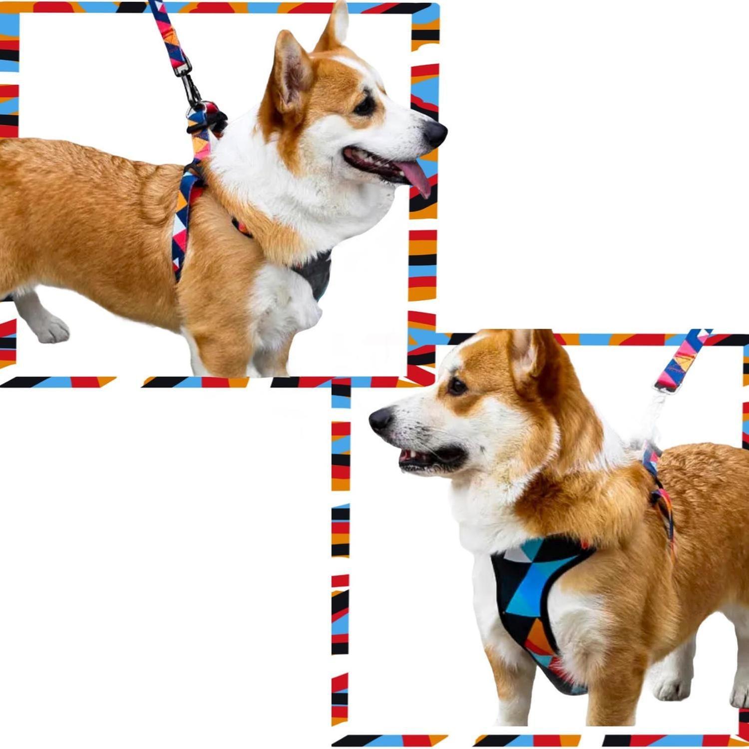 Arnés Pequeño Para Perro-3