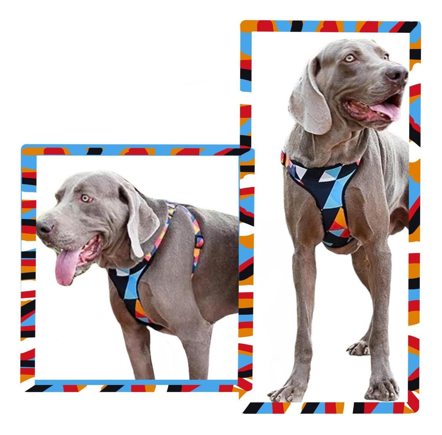 Arnés Pequeño Para Perro-4