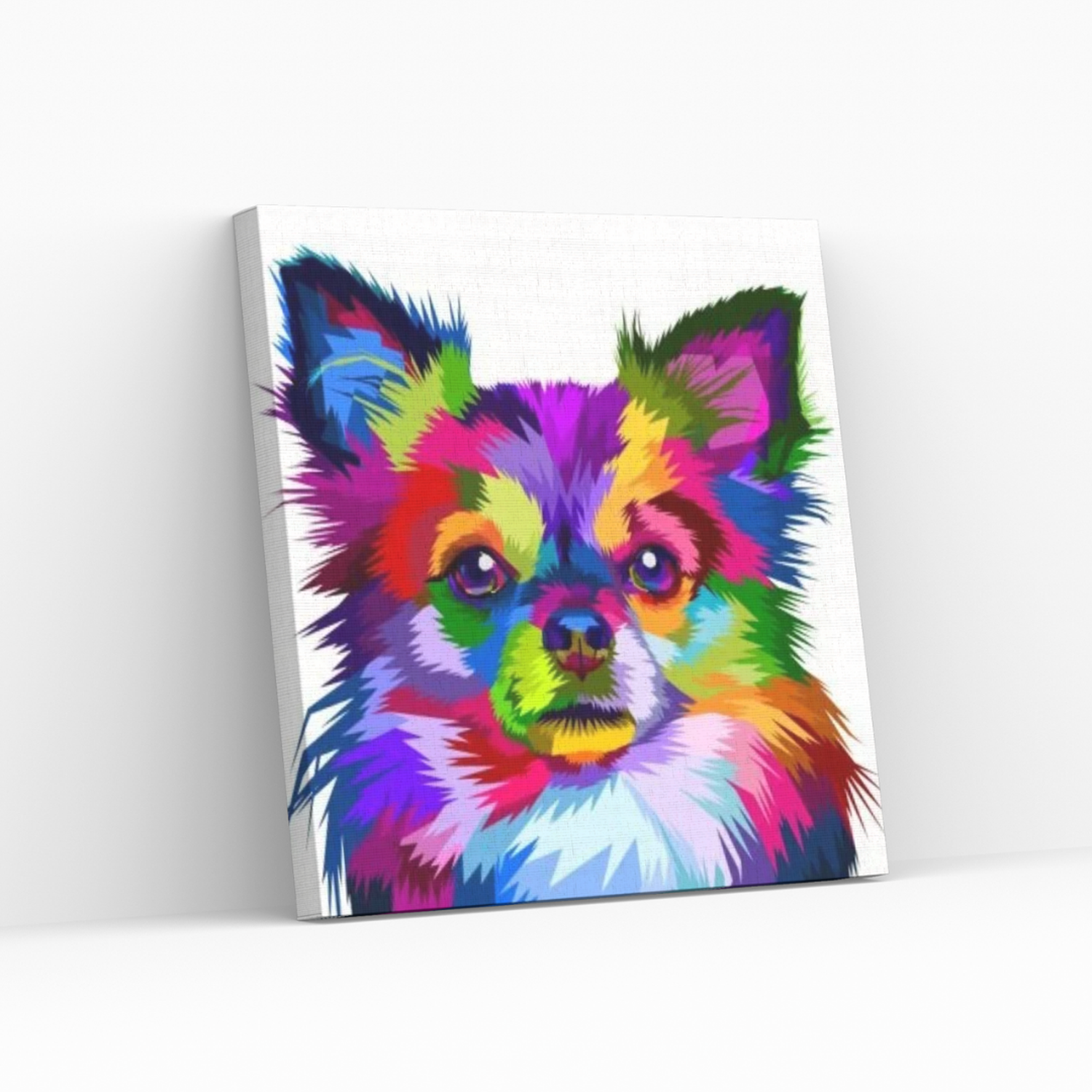 Diamond Painting en bastidor 30x30cm Pome Pop-0