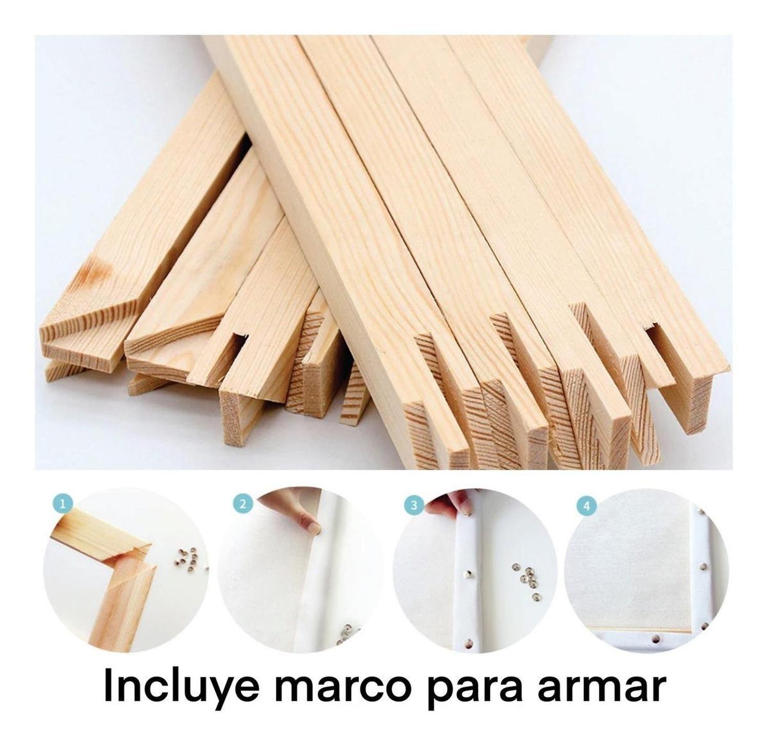 Pintura Por Números - Marco Incluido - Painting By Numbers-4