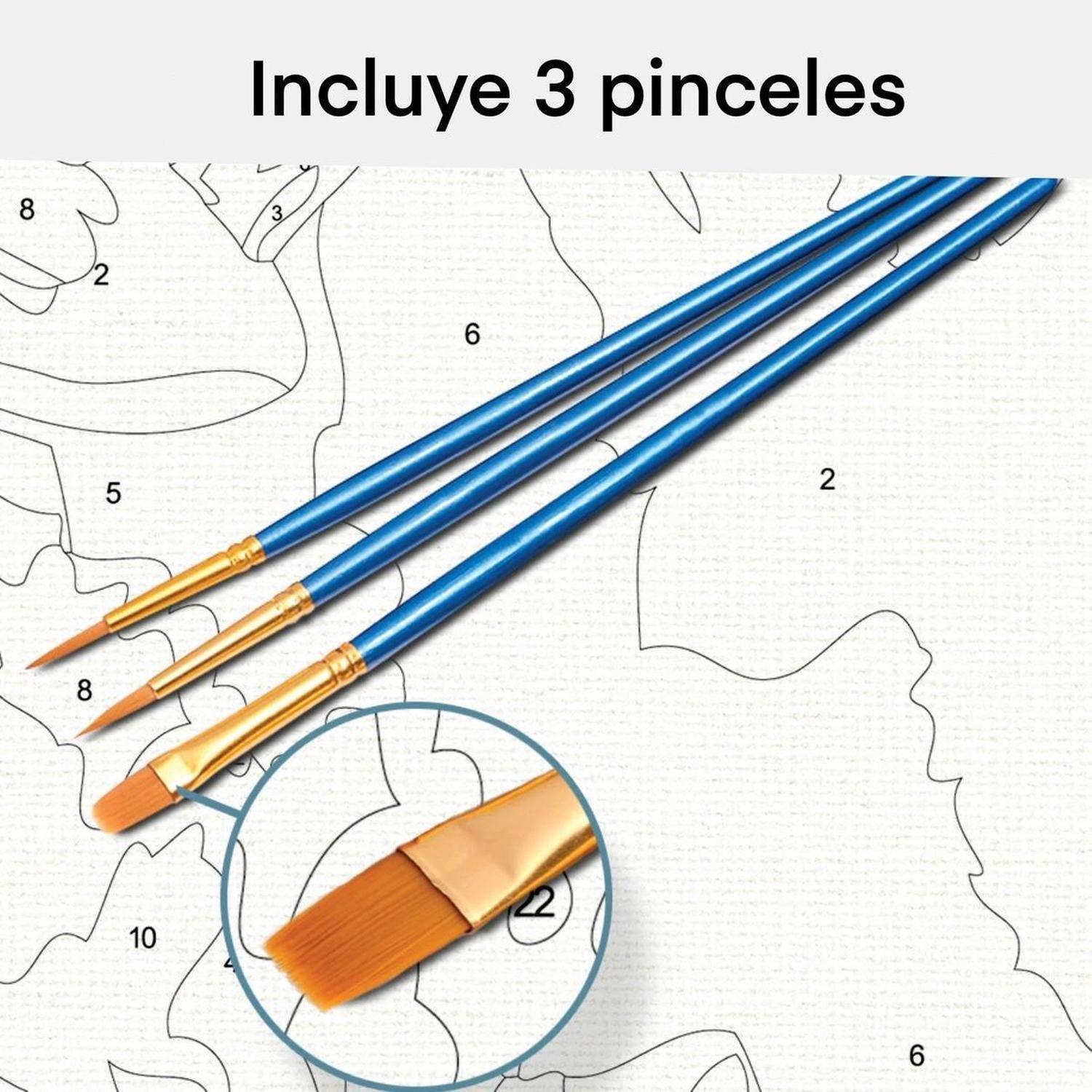 Pintura Por Números - Marco Incluido - Painting By Numbers-6
