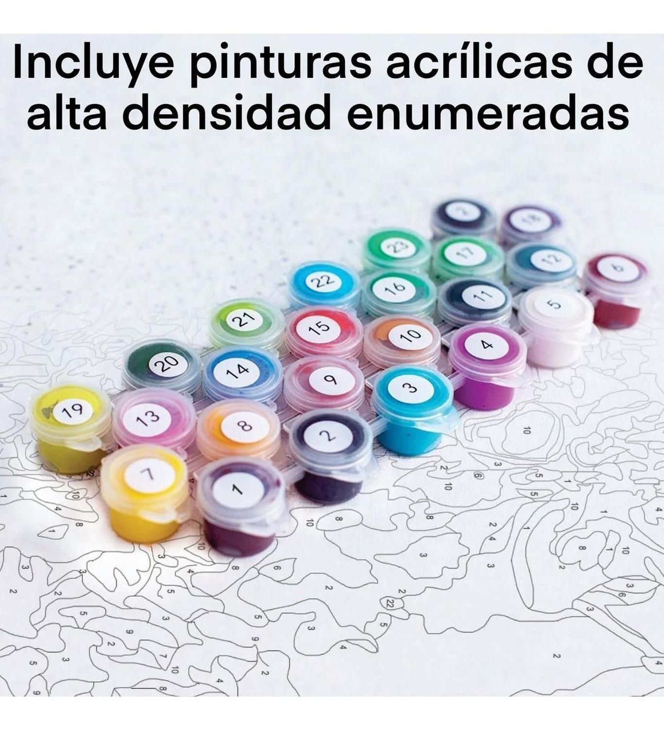 Pintura Por Números - Marco Incluido - Painting By Numbers-3