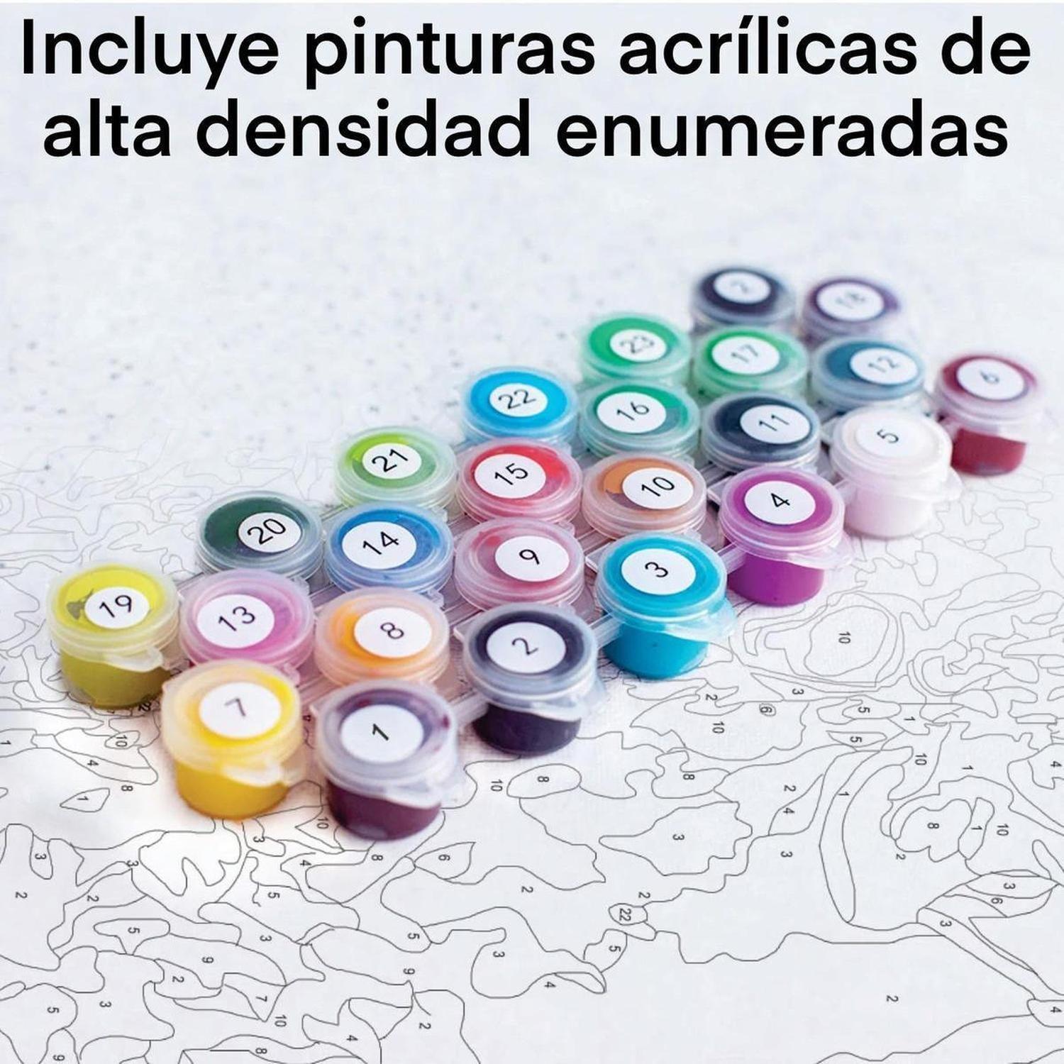 Pintura Por Números Seaside City - Marco Incluido - Painting By Numbers-3