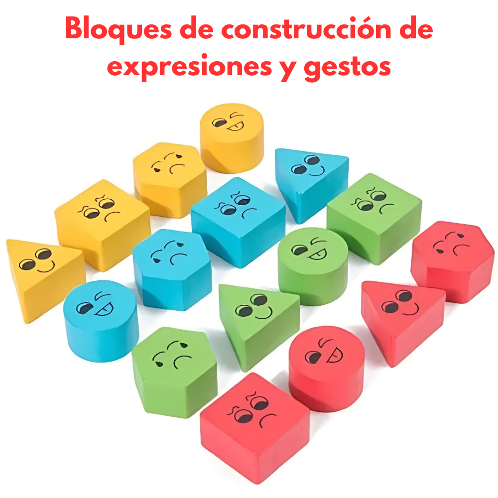 Juego Montessori Clasificación por Color y Forma-4
