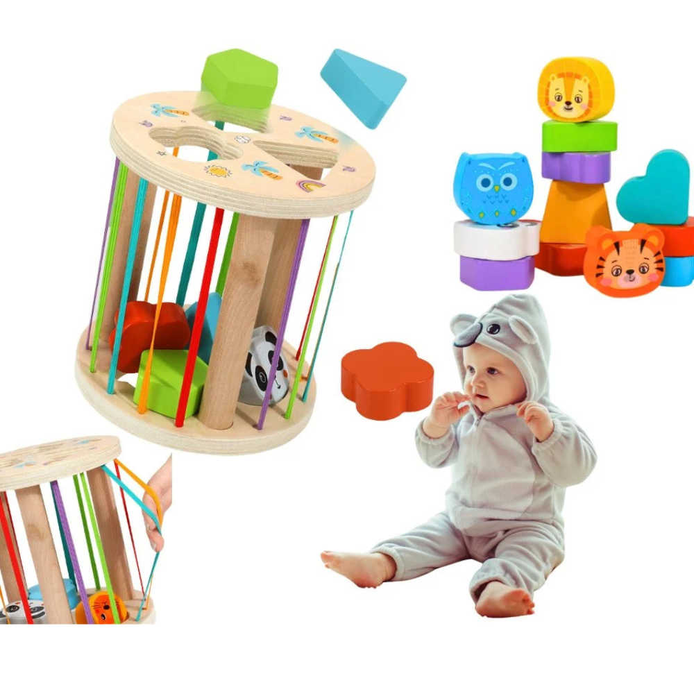 Clasificador de Formas de Madera  Juguete Montessori Educativo-4