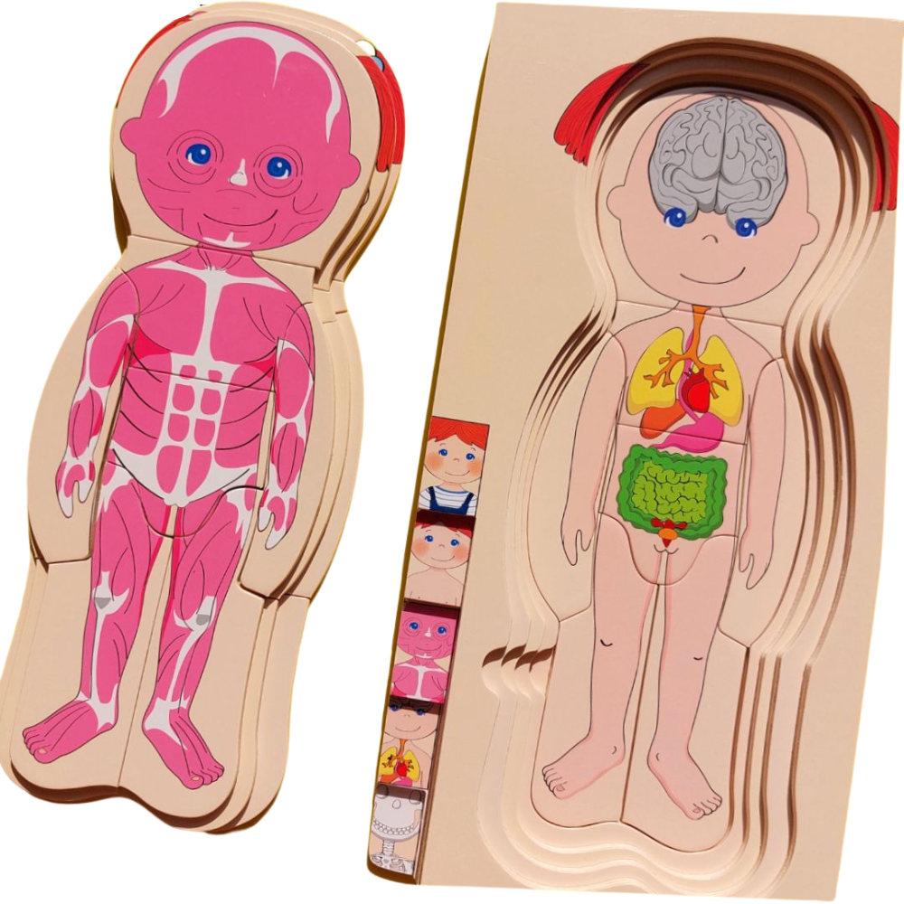 Puzzle 3D Multicapa Cuerpo Humano - 100 % MADERA-2