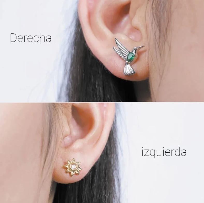 Aros Girasol Y Colibrí Plata 925-2