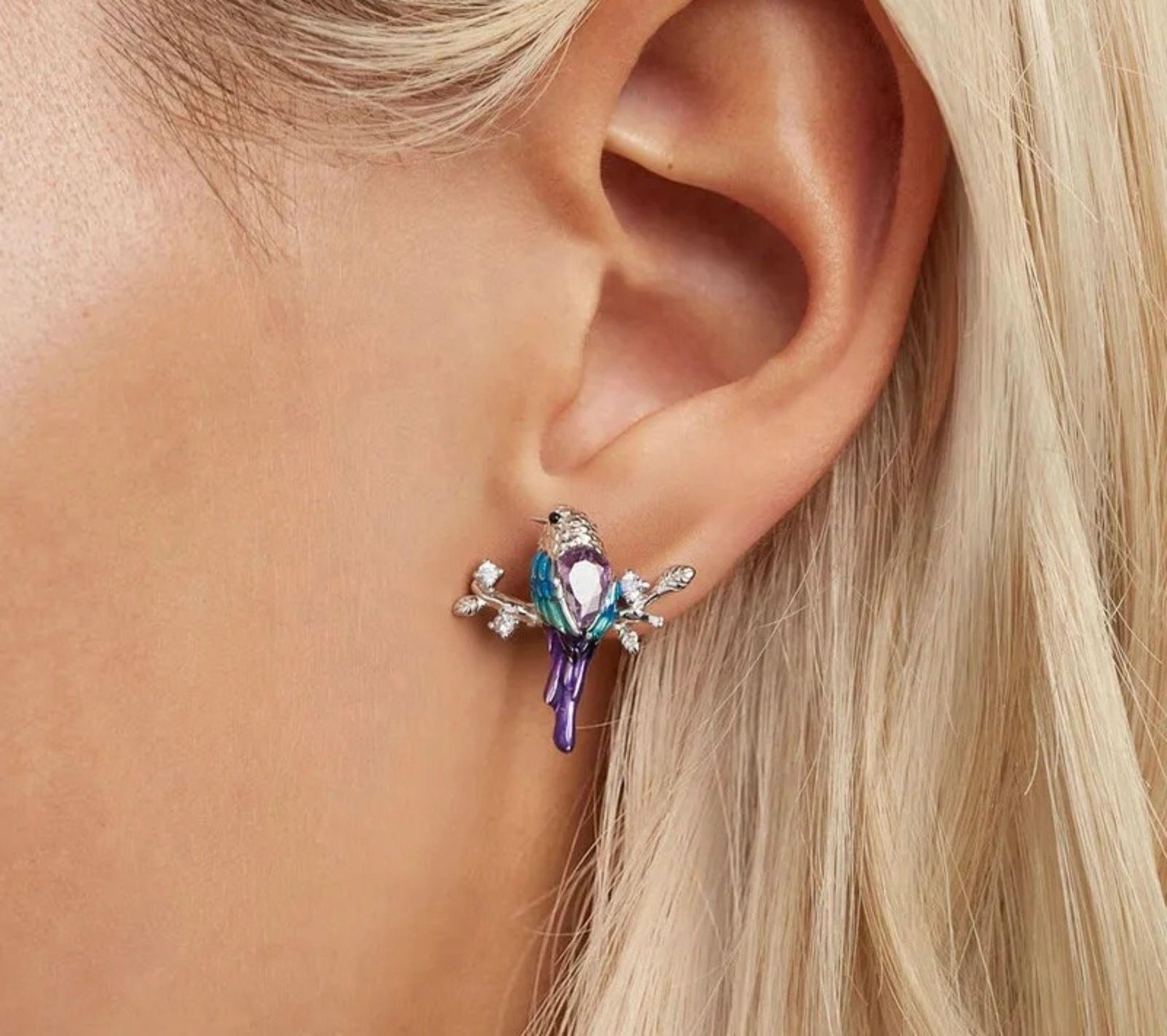 Aros colibrí multicolor Plata S925-3