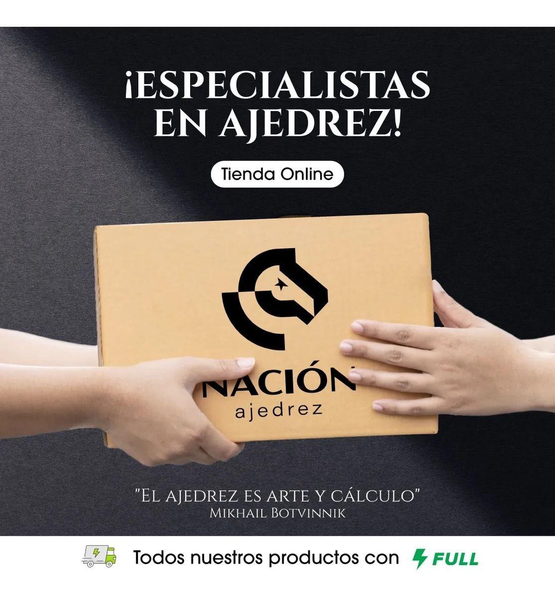 Tablero De Ajedrez Magnetico 25x25cm Portable-6