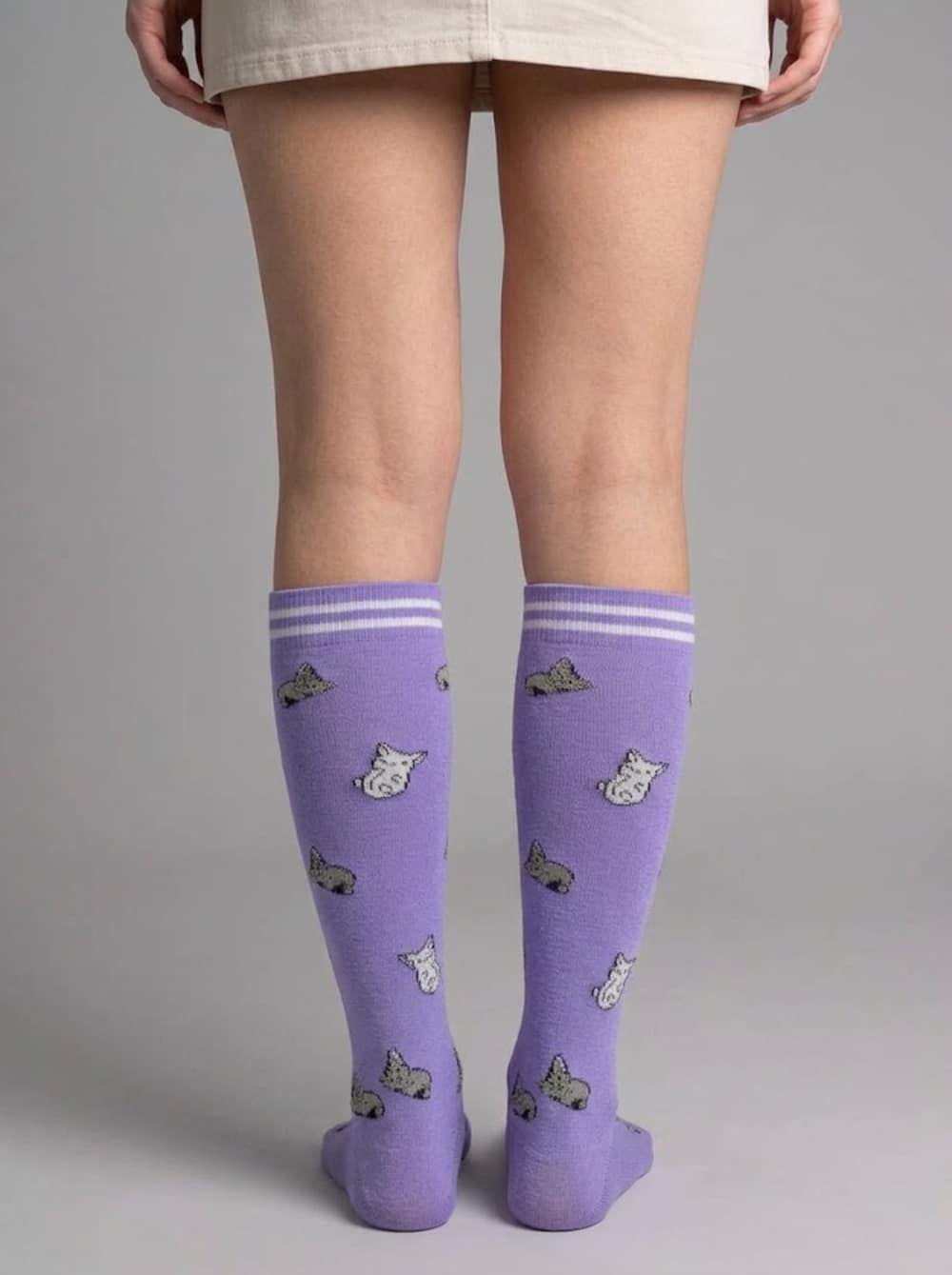 Bucaneras De Compresión Nylon Gatitos Mujer TORNASOL-2
