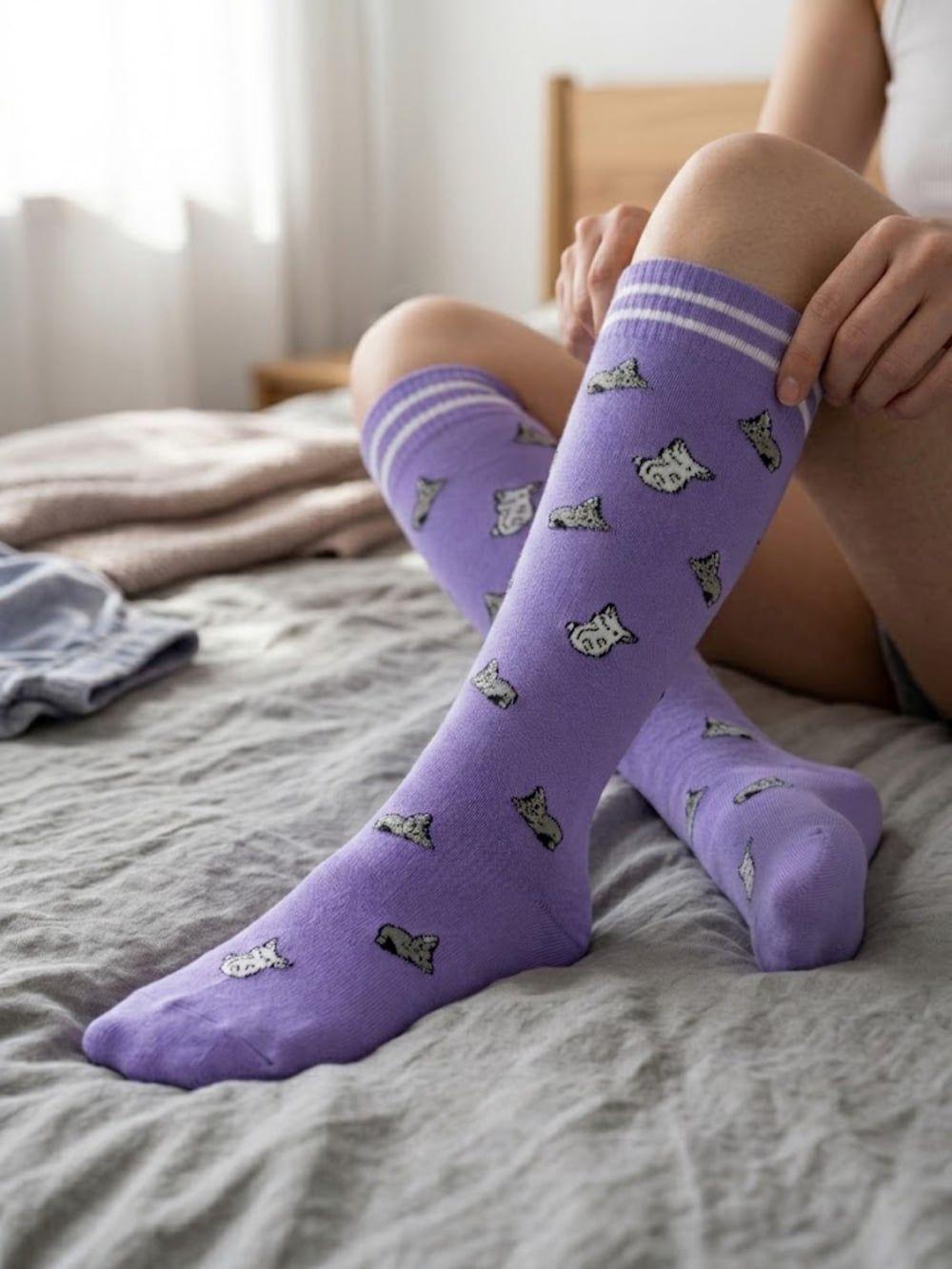 Bucaneras De Compresión Nylon Gatitos Mujer TORNASOL-3