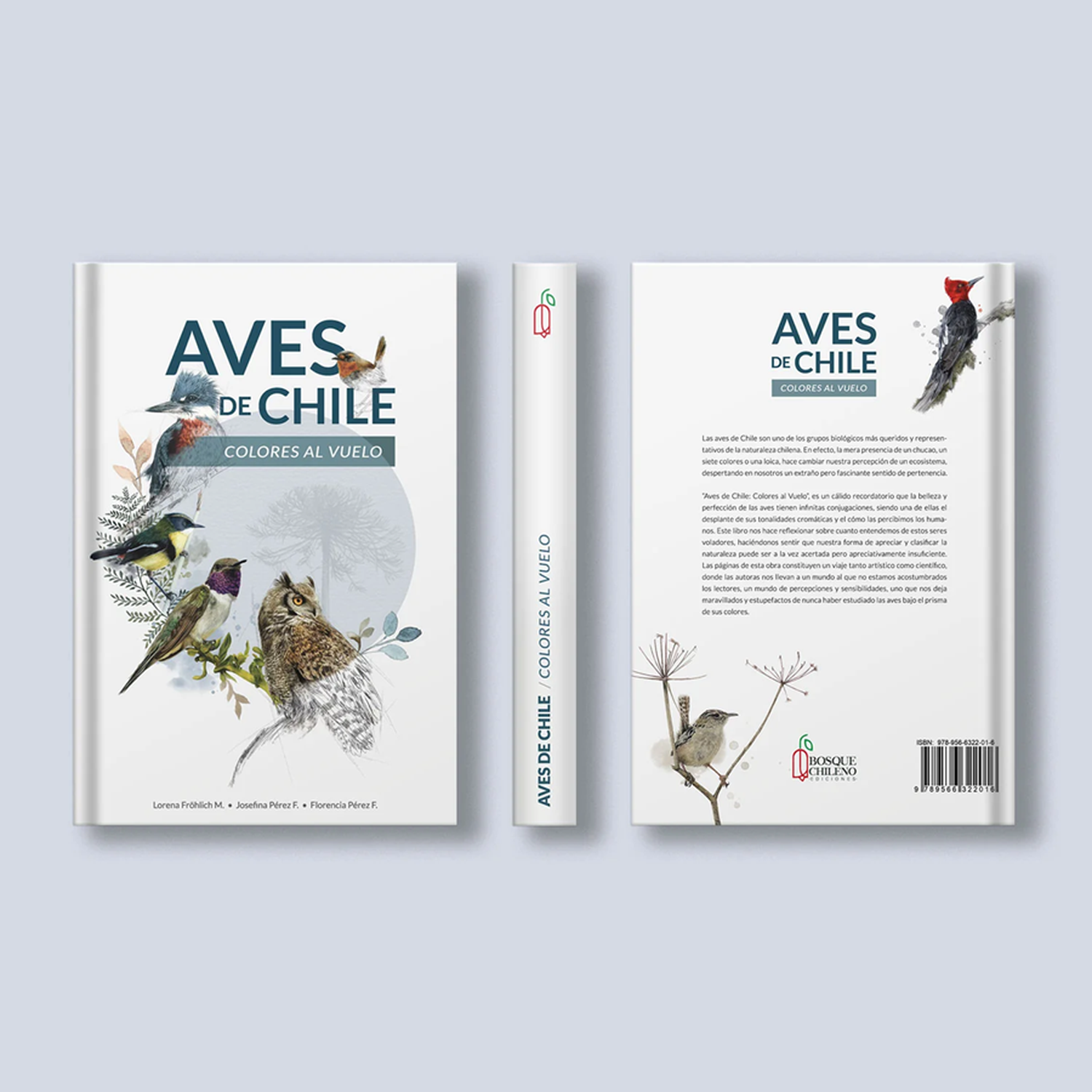 Libro Aves De Chile Colores Al Vuelo-6
