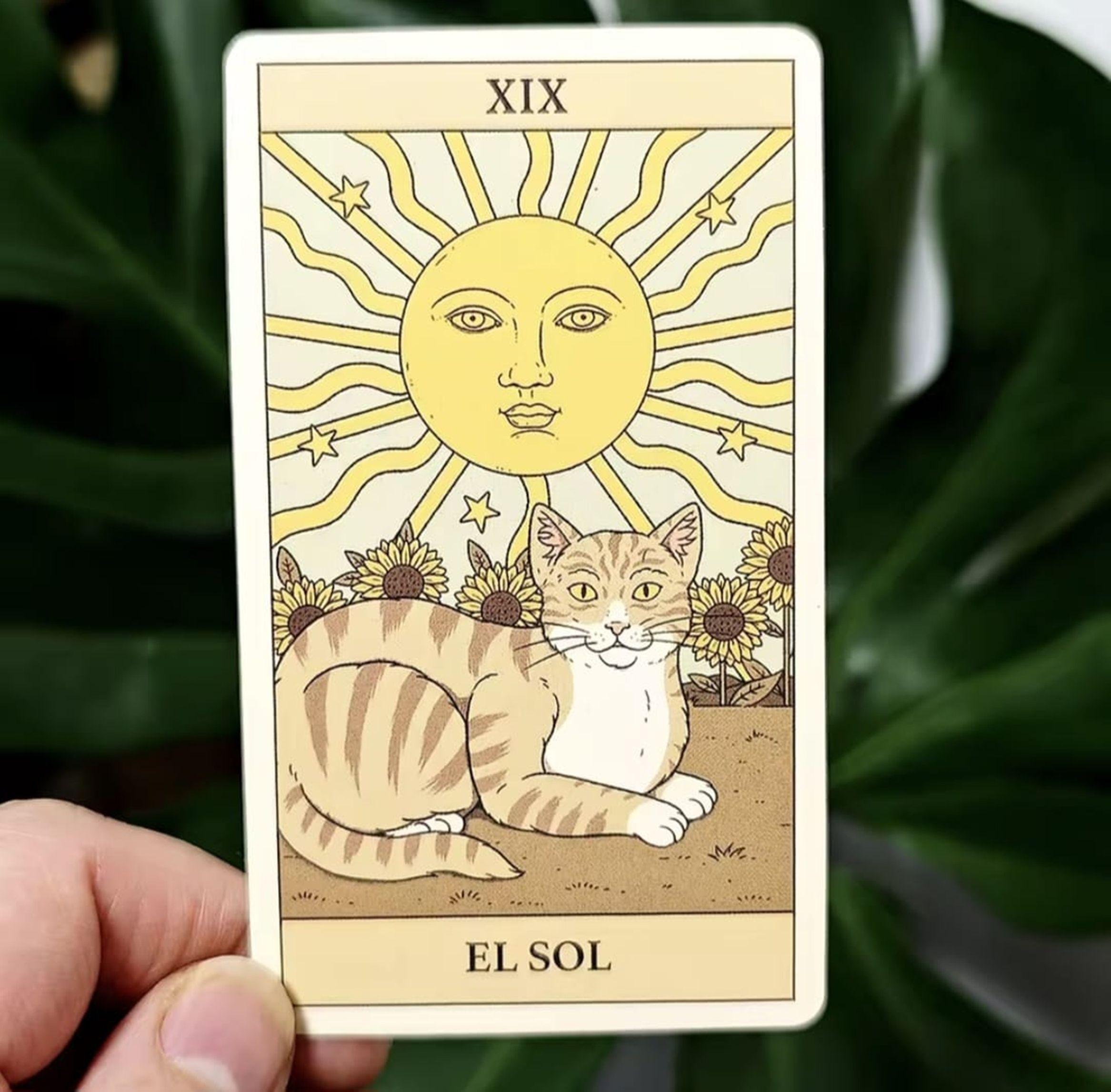 Tarot De Los Gatos 78 Cartas Edition Español-2