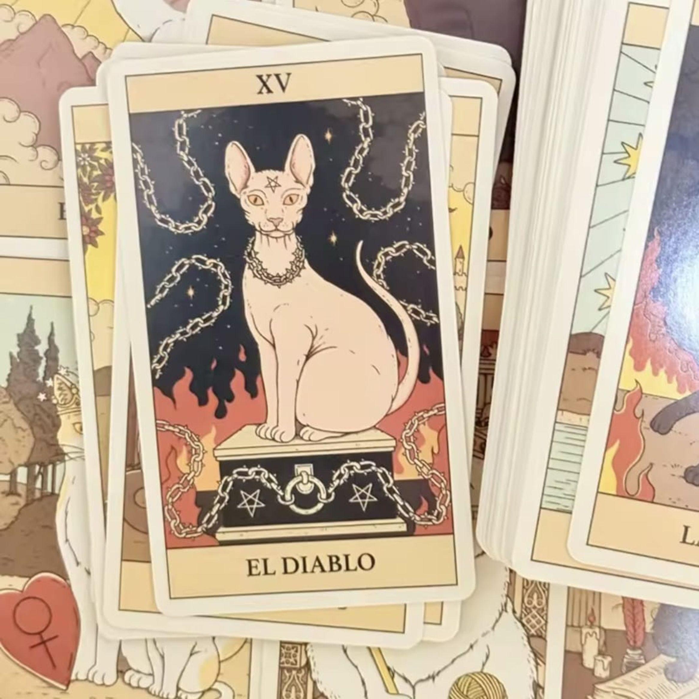 Tarot De Los Gatos 78 Cartas Edition Español-3
