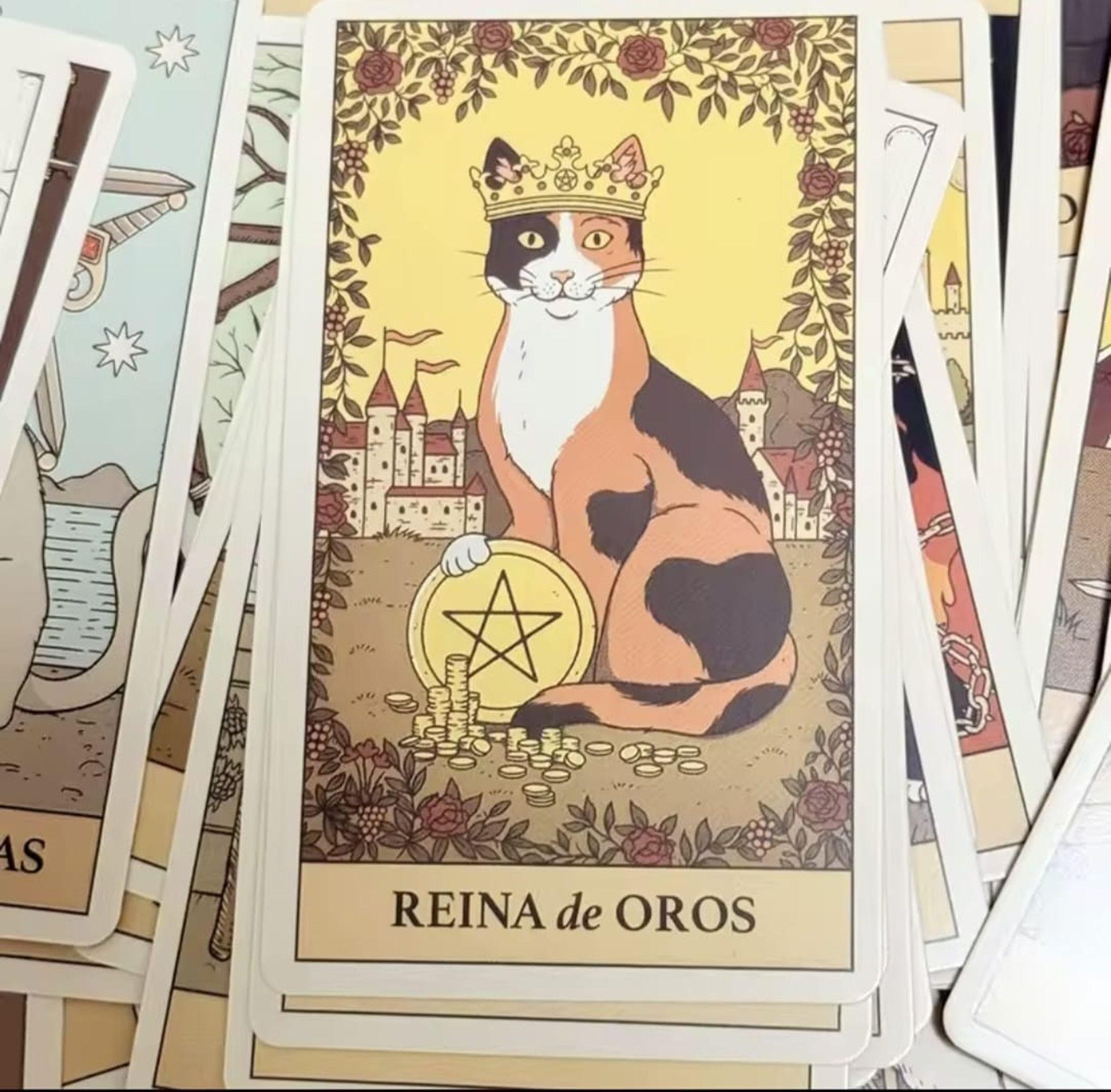Tarot De Los Gatos 78 Cartas Edition Español-5