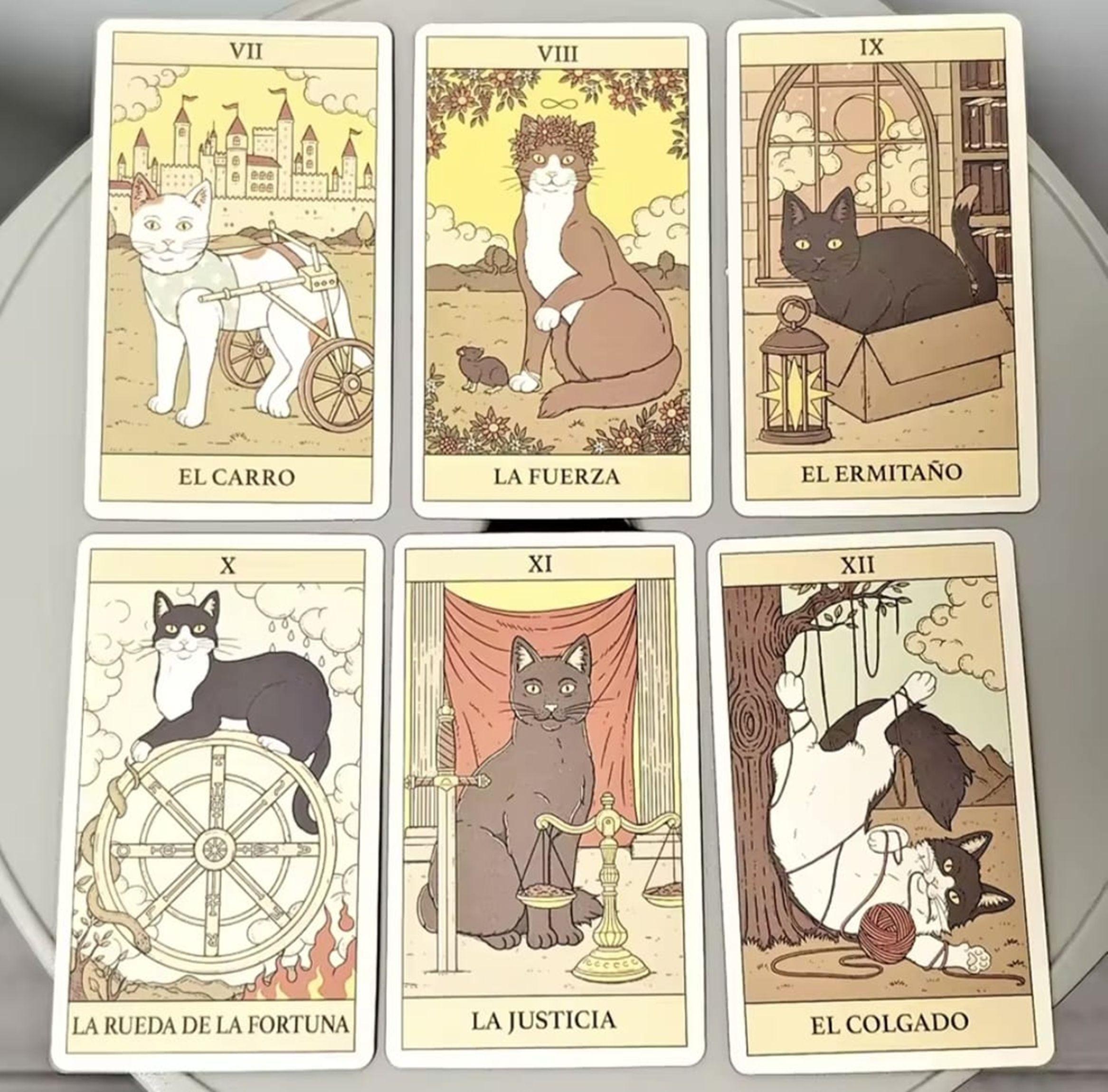 Tarot De Los Gatos 78 Cartas Edition Español-6