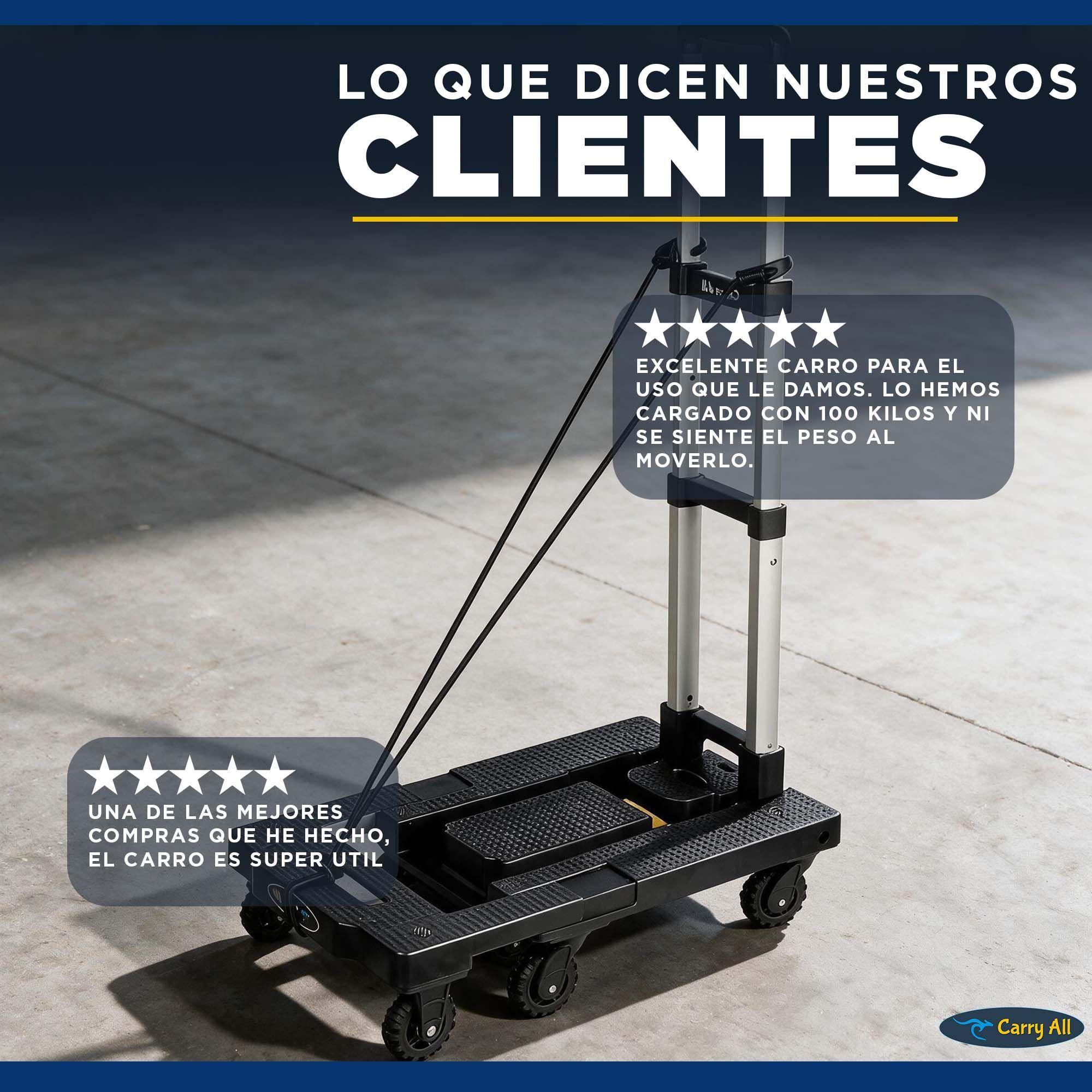 Carro Plegable De Carga Tipo Plataforma 150 Kilos 7 Ruedas Yegua-8