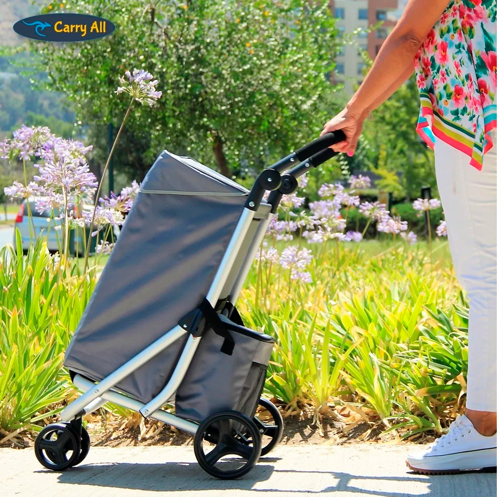 Carrito Compras Plegable Premium Supermercado Feria Cooler Color Gris-4