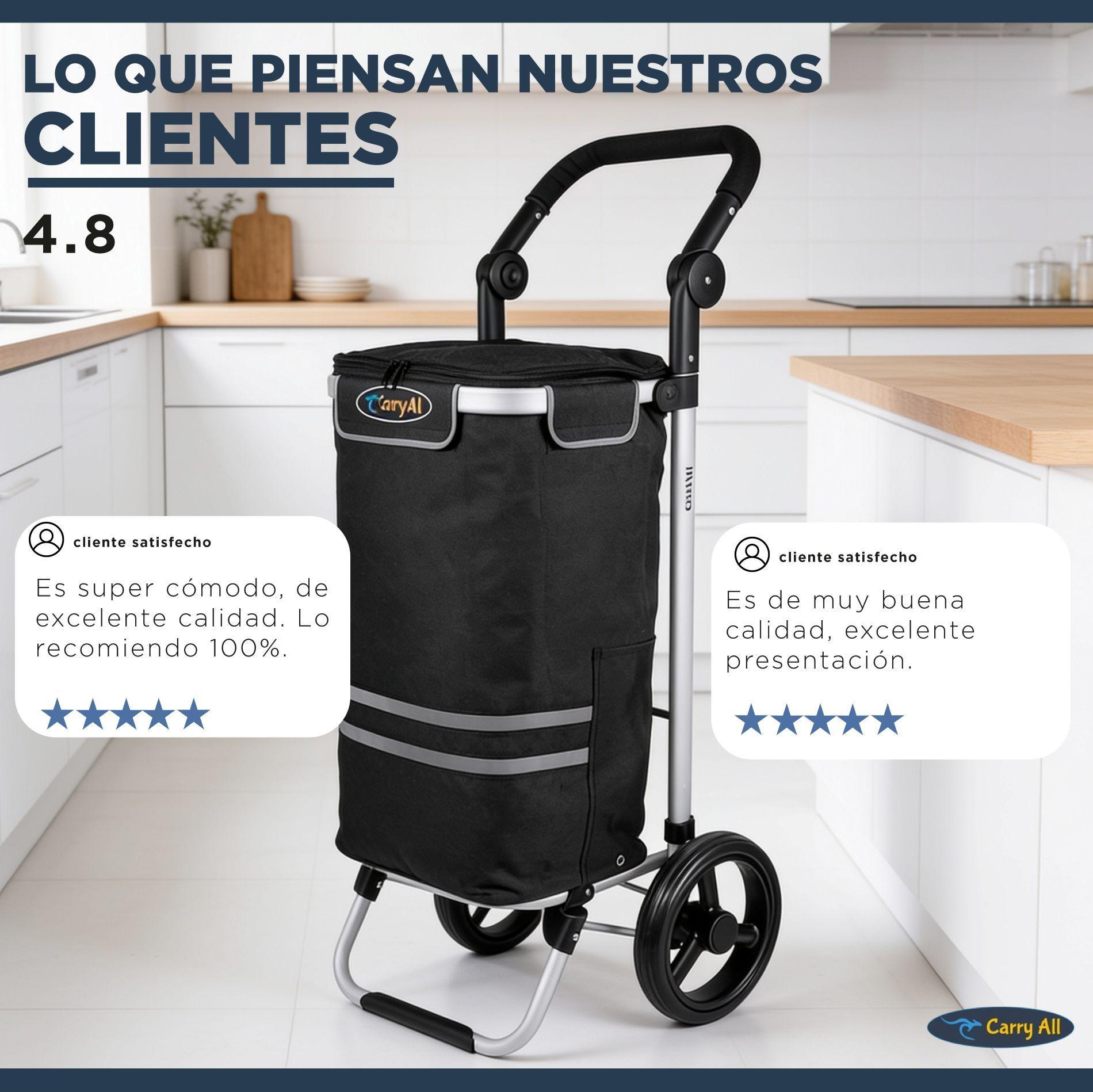 Carrito de Compras Plegable Supermercado o Feria + Bolso Cooler Black-7
