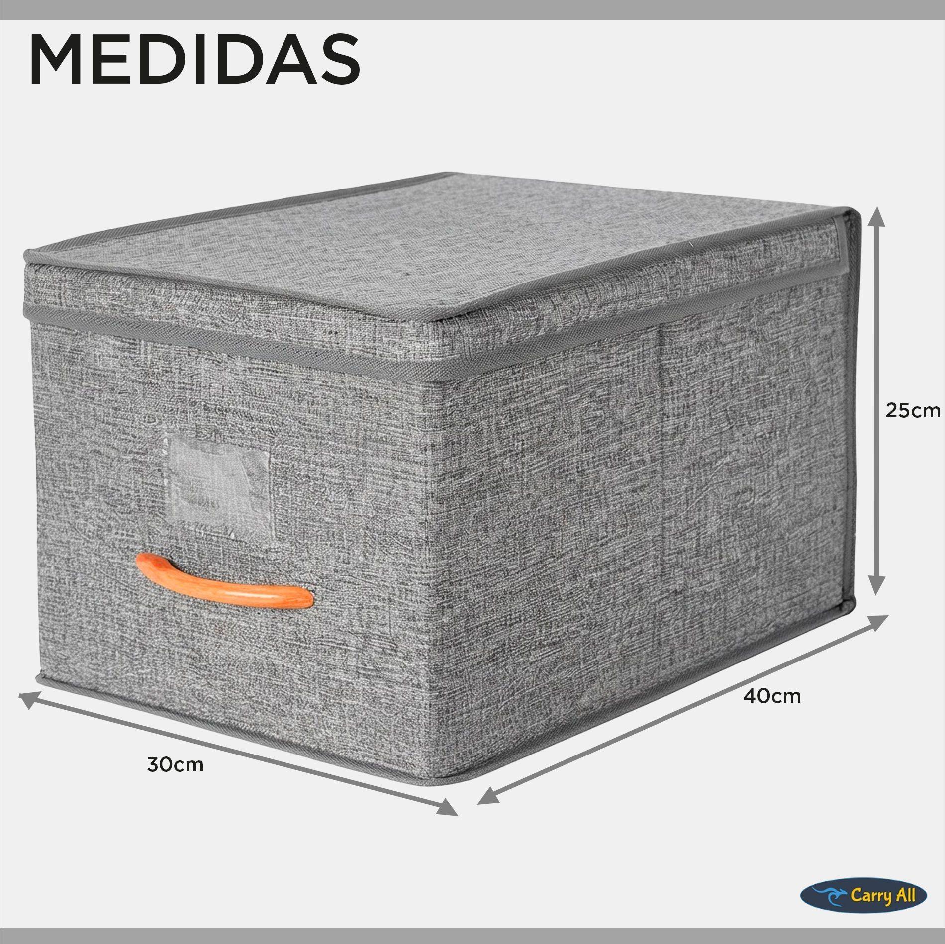 Pack 2 Cajas Organizadoras Plegables Closet Ropa Accs. Large-4