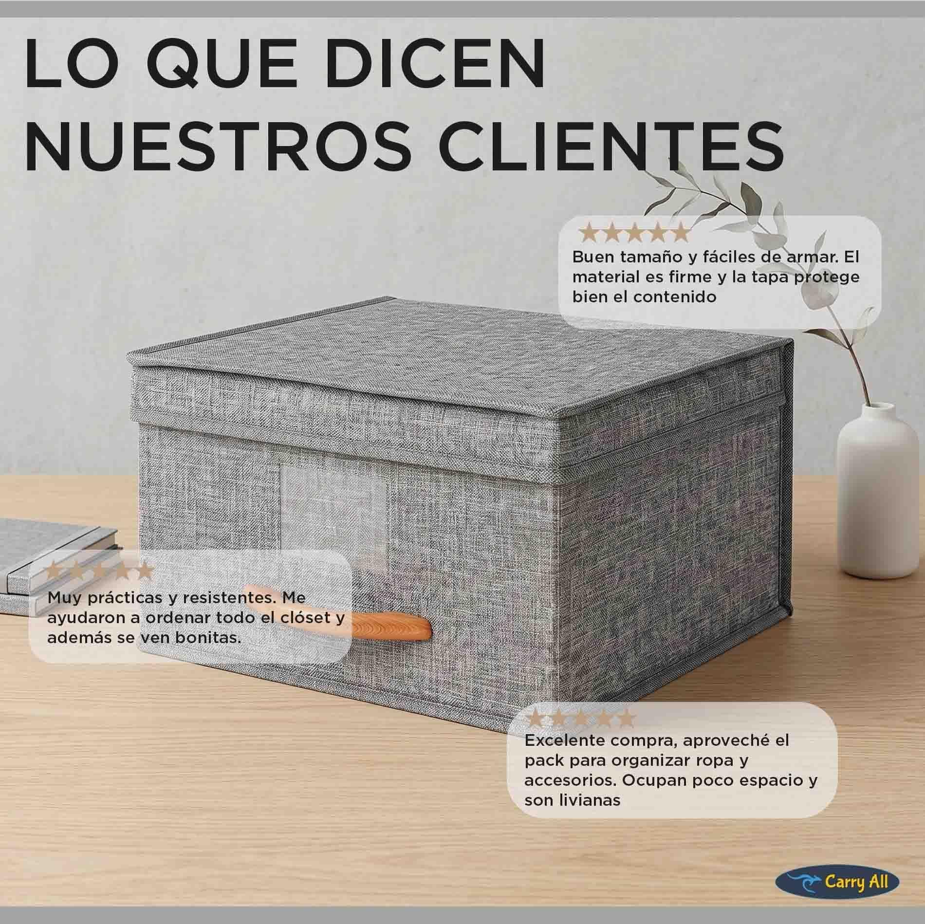 Pack 3 Cajas Organizadoras Plegables Closet Ropa Varios (S)-9