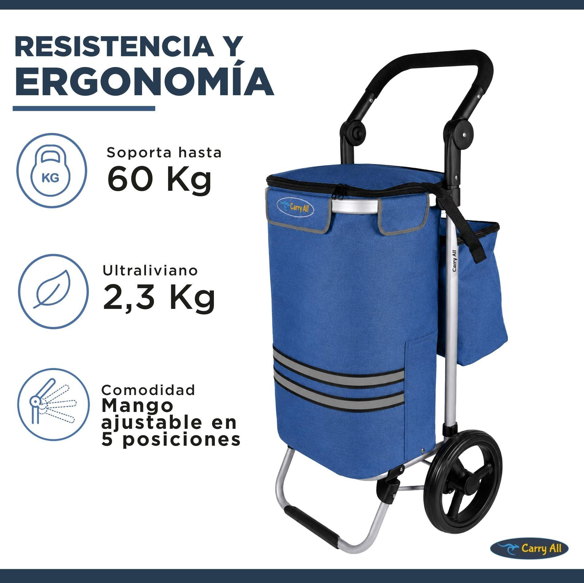 Carrito de Compras Plegable Supermercado o Feria + Bolso Cooler Blue-5
